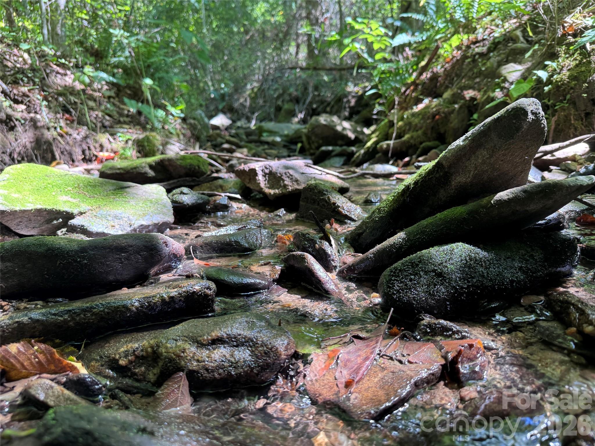 Acreage at 300 ± Acres Upper Flat Creek Road, Weaverville, photo 11 of 47