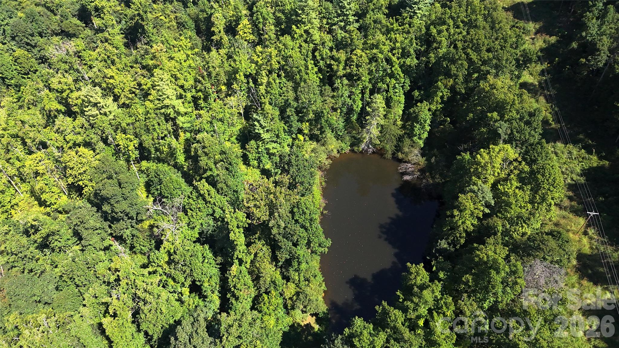 Acreage at 300 ± Acres Upper Flat Creek Road, Weaverville, photo 14 of 47