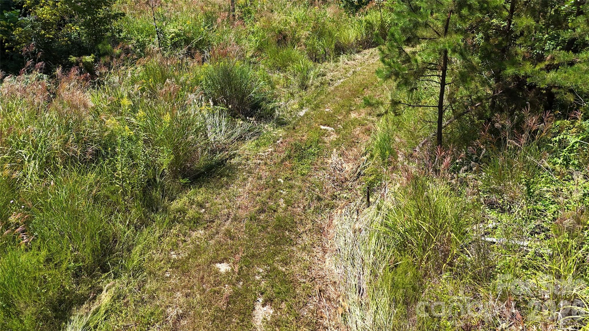 Acreage at 300 ± Acres Upper Flat Creek Road, Weaverville, photo 23 of 47