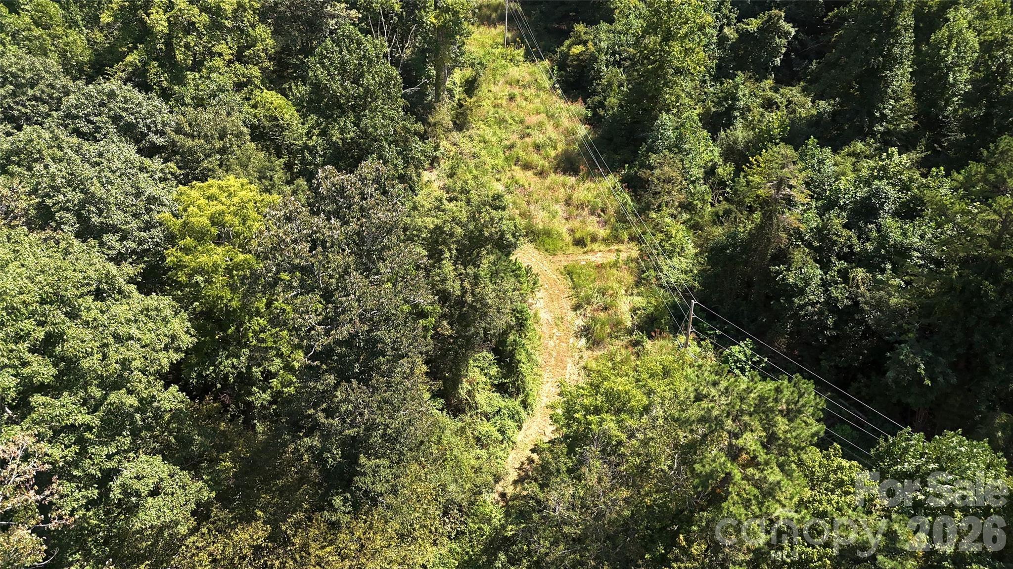 Acreage at 300 ± Acres Upper Flat Creek Road, Weaverville, photo 24 of 47