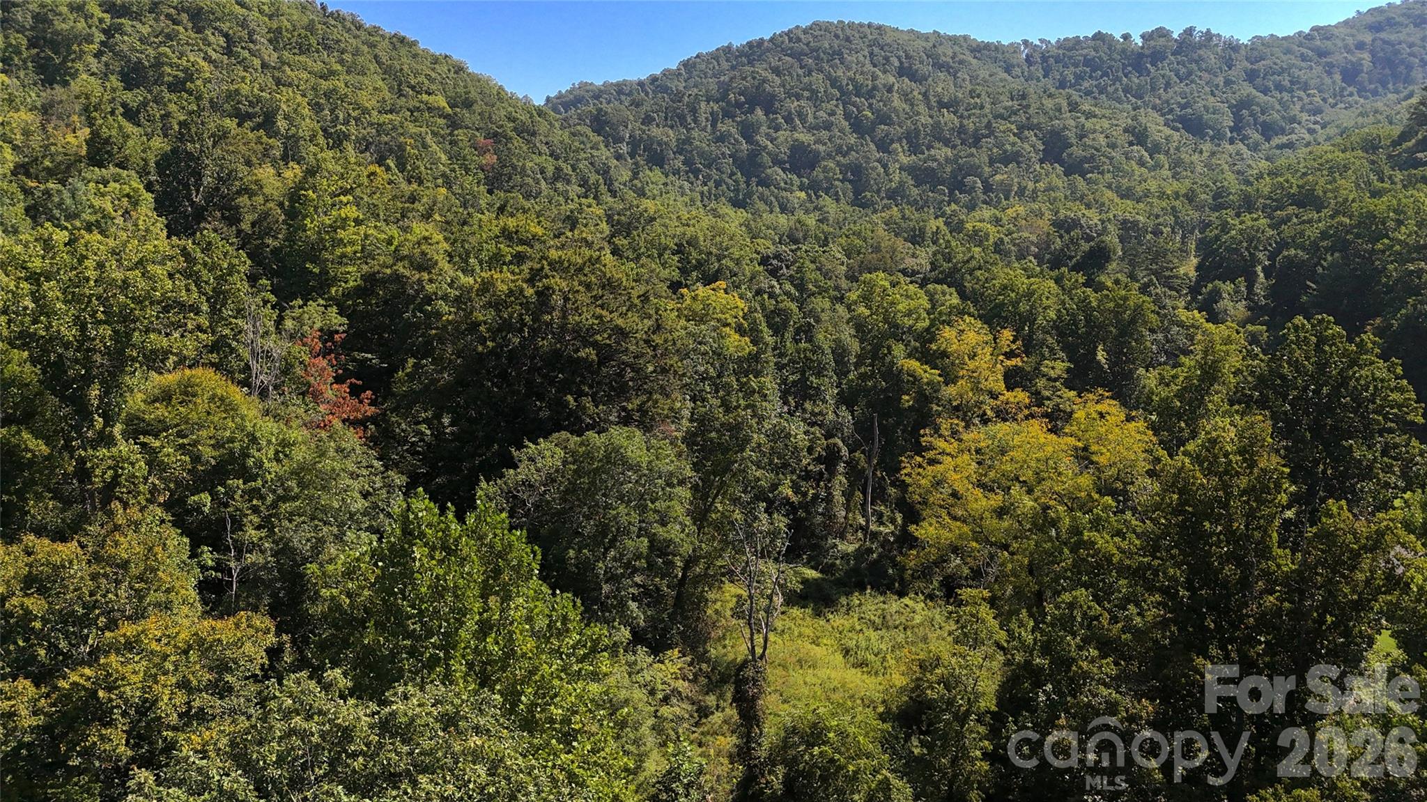 Acreage at 300 ± Acres Upper Flat Creek Road, Weaverville, photo 25 of 47
