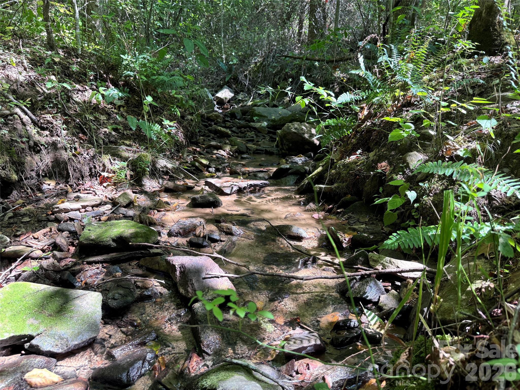 Acreage at 300 ± Acres Upper Flat Creek Road, Weaverville, photo 27 of 47