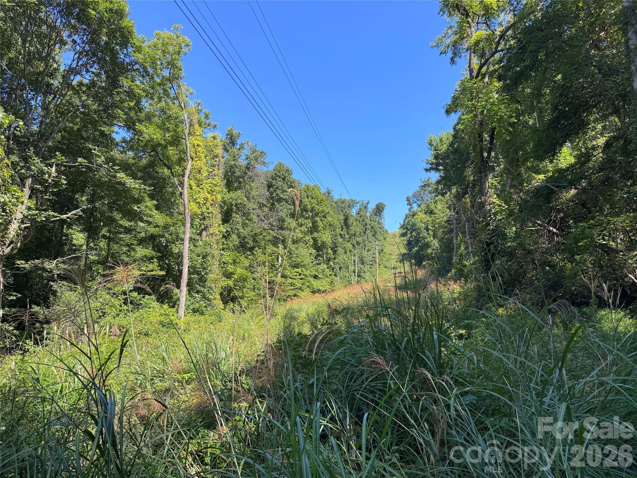 Acreage at 300 ± Acres Upper Flat Creek Road, Weaverville, photo 34 of 47