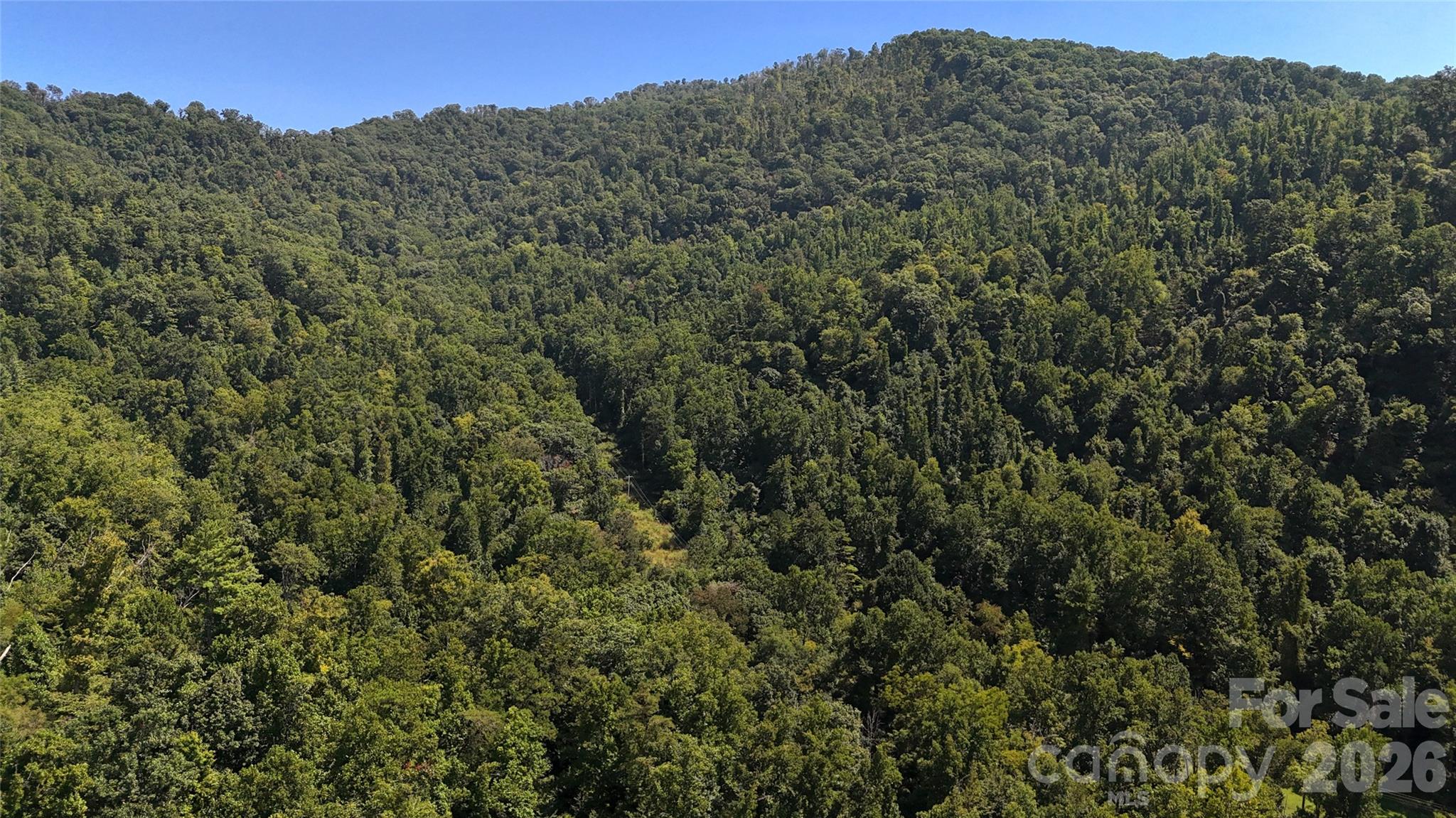 Acreage at 300 ± Acres Upper Flat Creek Road, Weaverville, photo 39 of 47