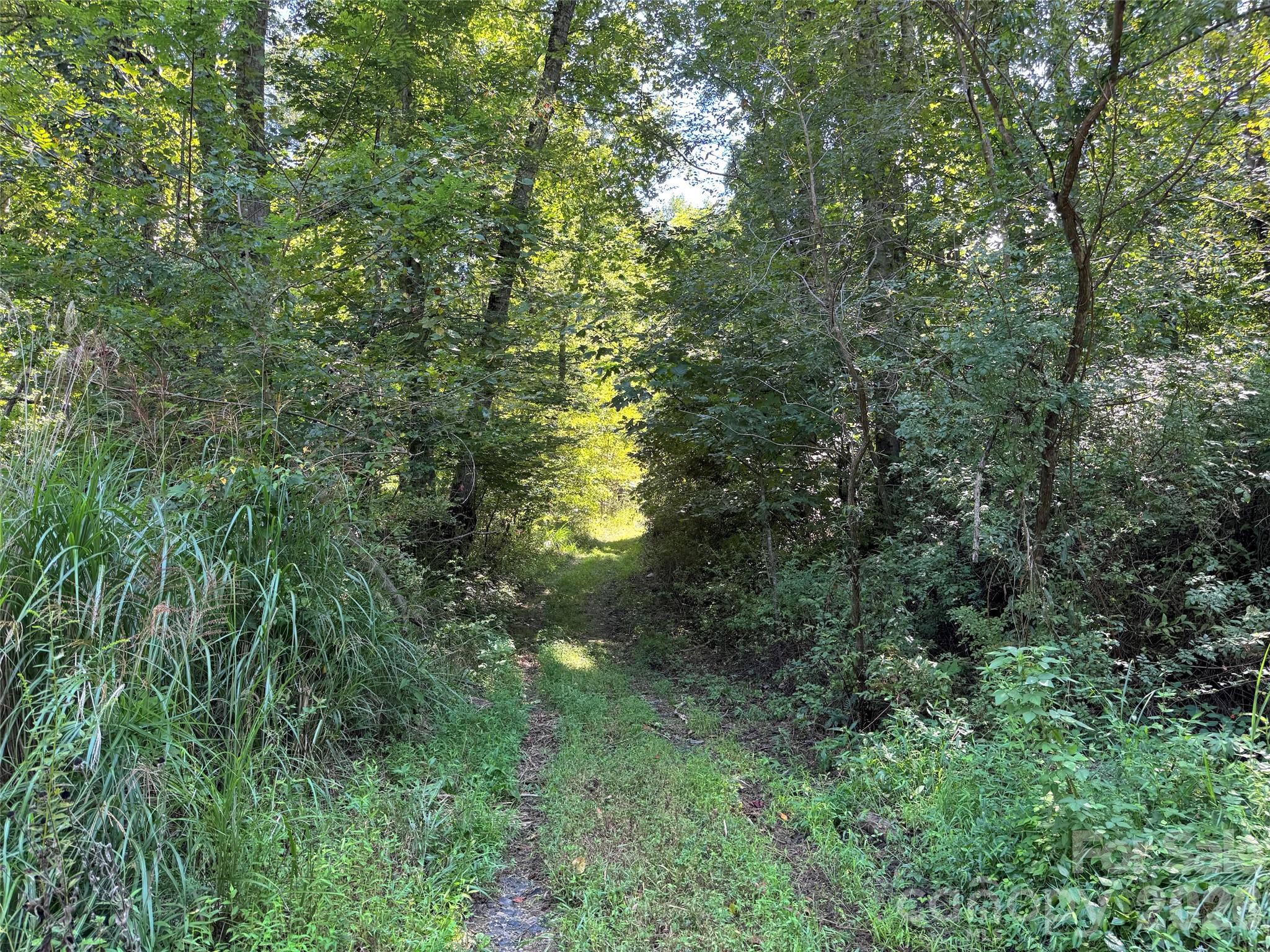 Acreage at 300 ± Acres Upper Flat Creek Road, Weaverville, photo 43 of 47