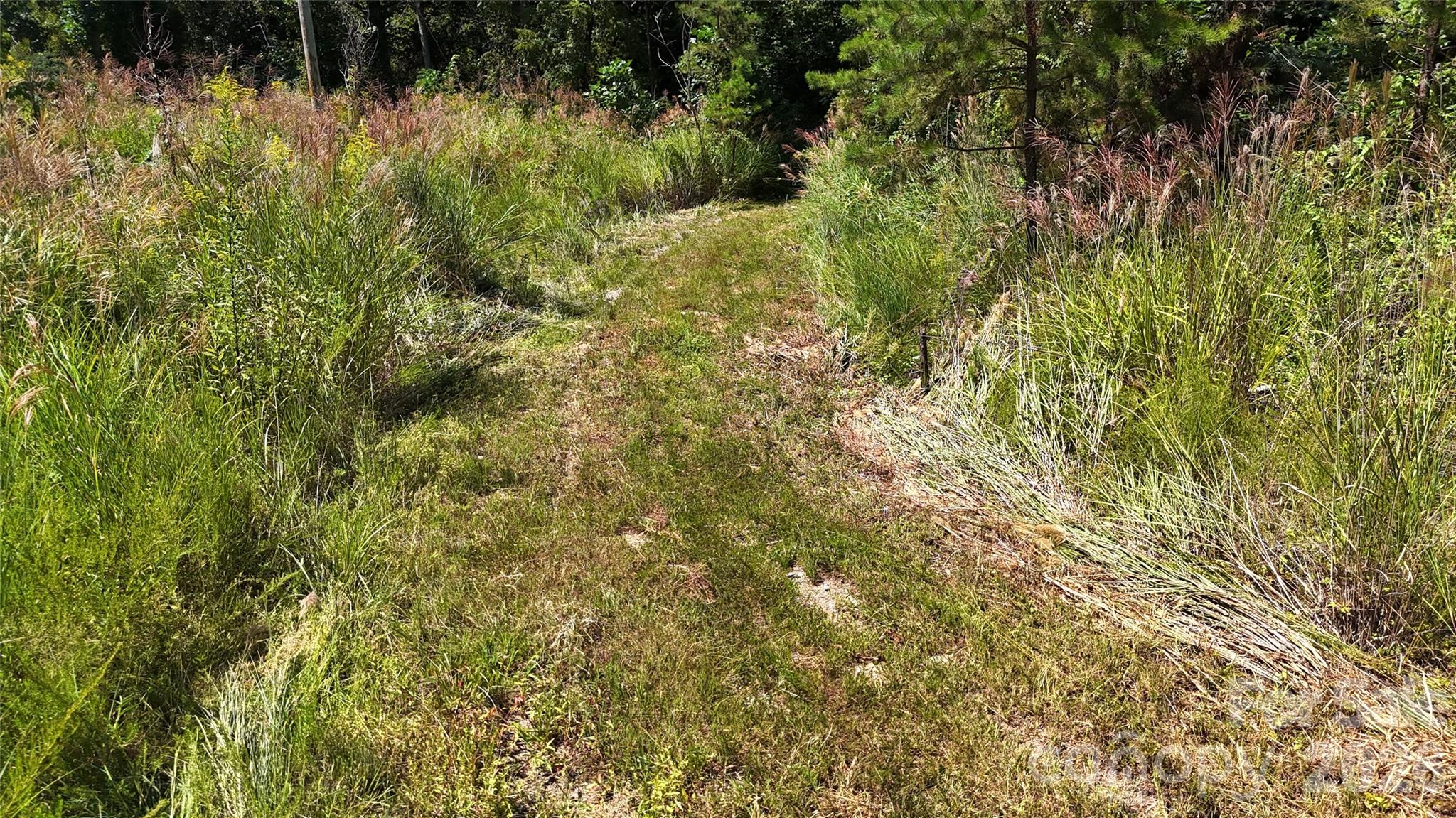 Acreage at 300 ± Acres Upper Flat Creek Road, Weaverville, photo 44 of 47