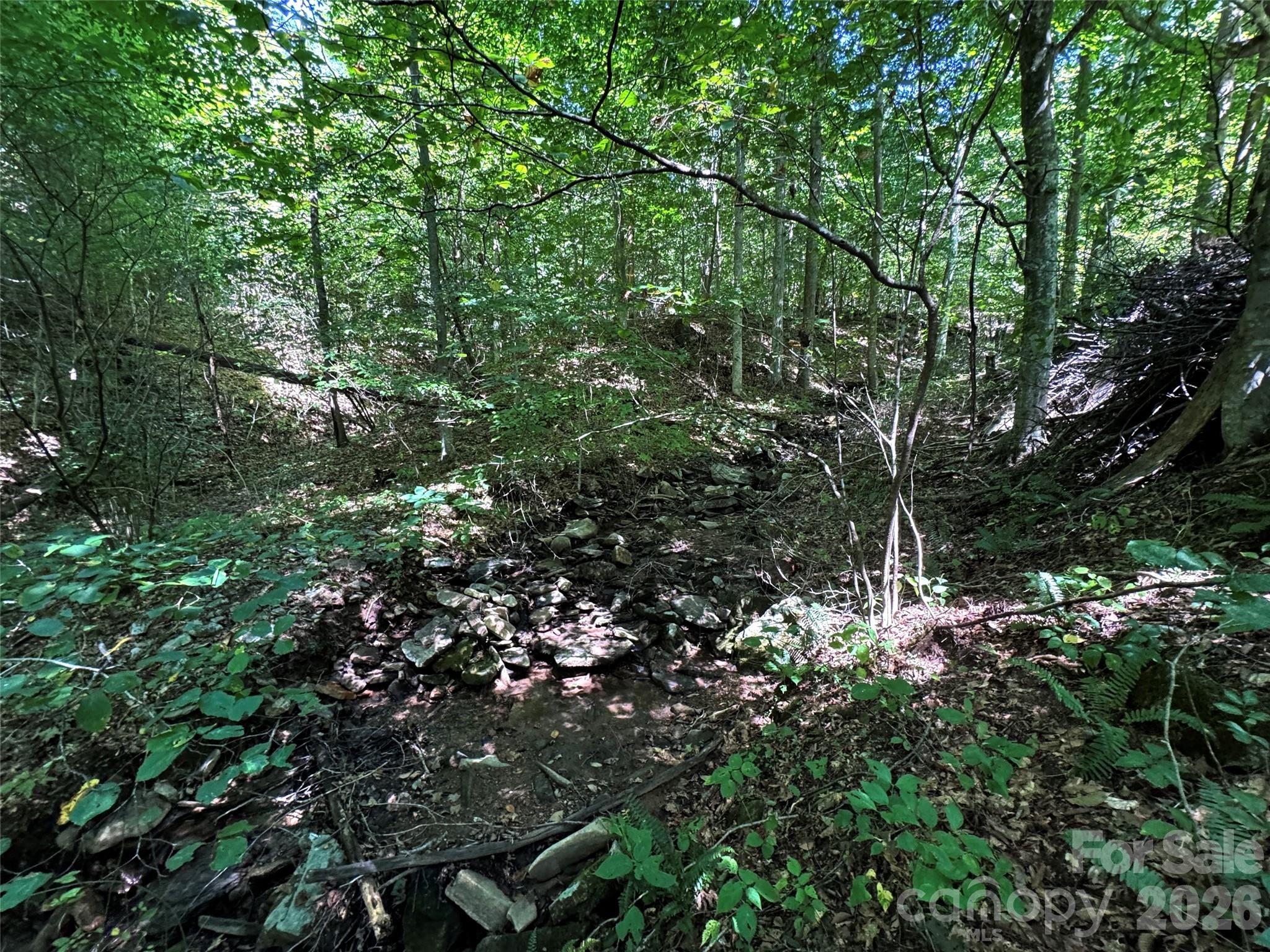 Acreage at 101 ± Acres Timbersong Drive, Weaverville, photo 11 of 39