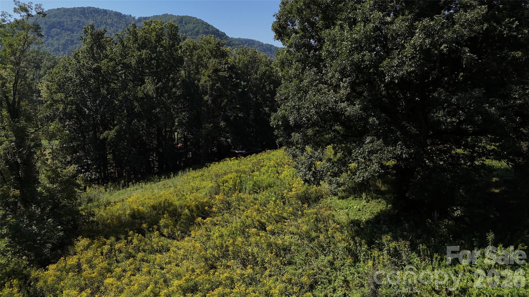 Acreage at 101 ± Acres Timbersong Drive, Weaverville, photo 18 of 39