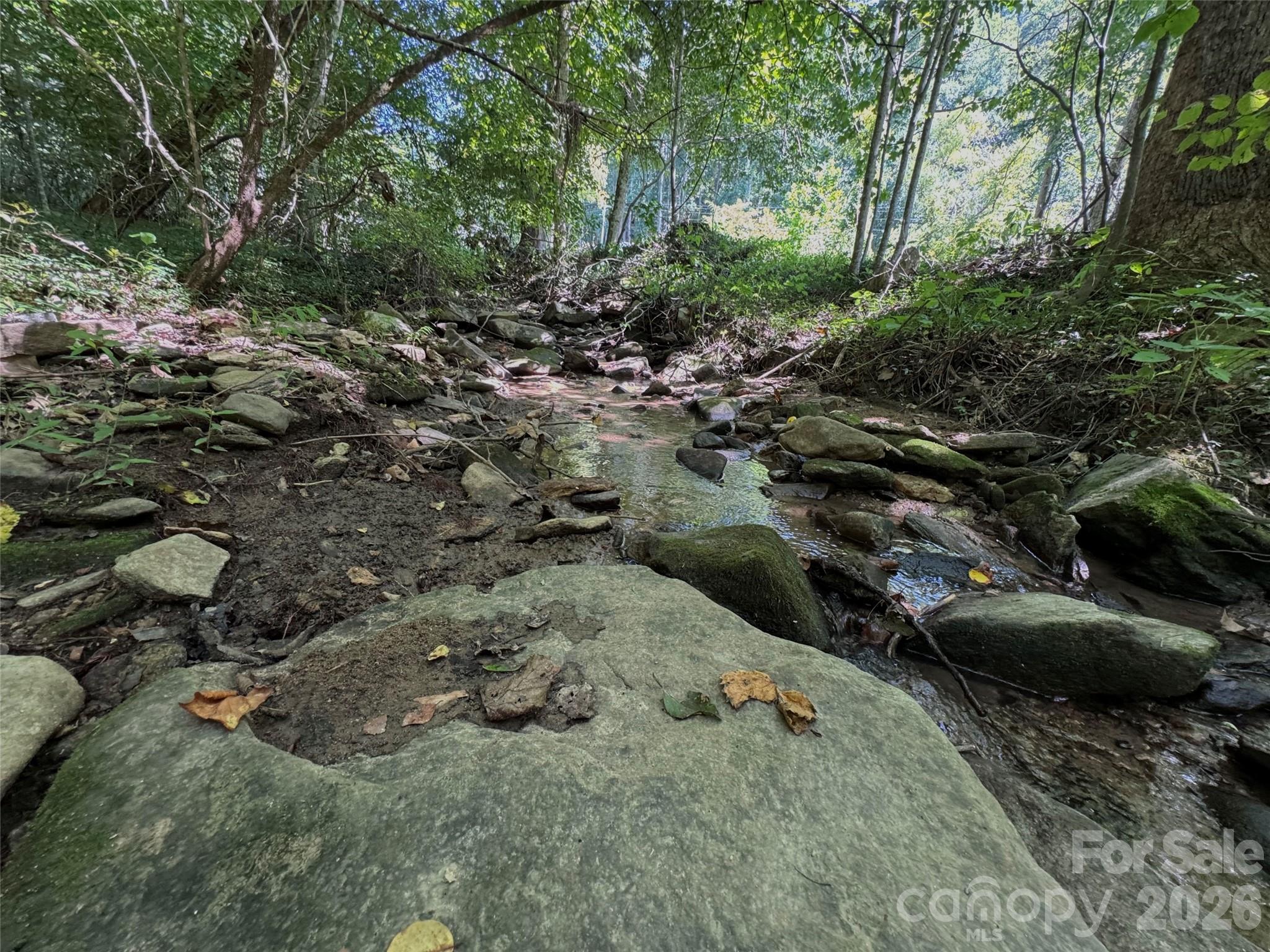 Acreage at 101 ± Acres Timbersong Drive, Weaverville, photo 20 of 39