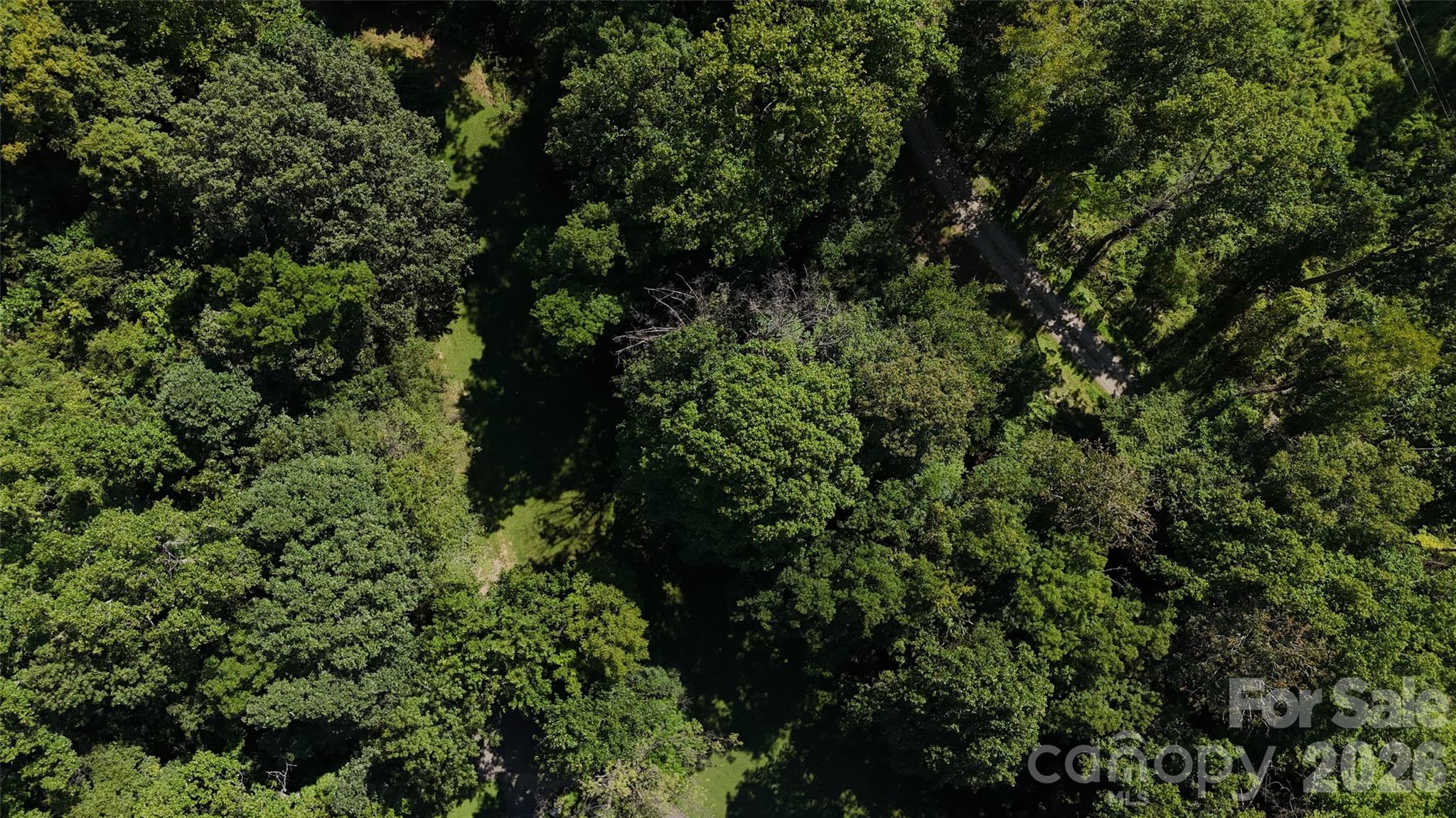 Acreage at 101 ± Acres Timbersong Drive, Weaverville, photo 25 of 39