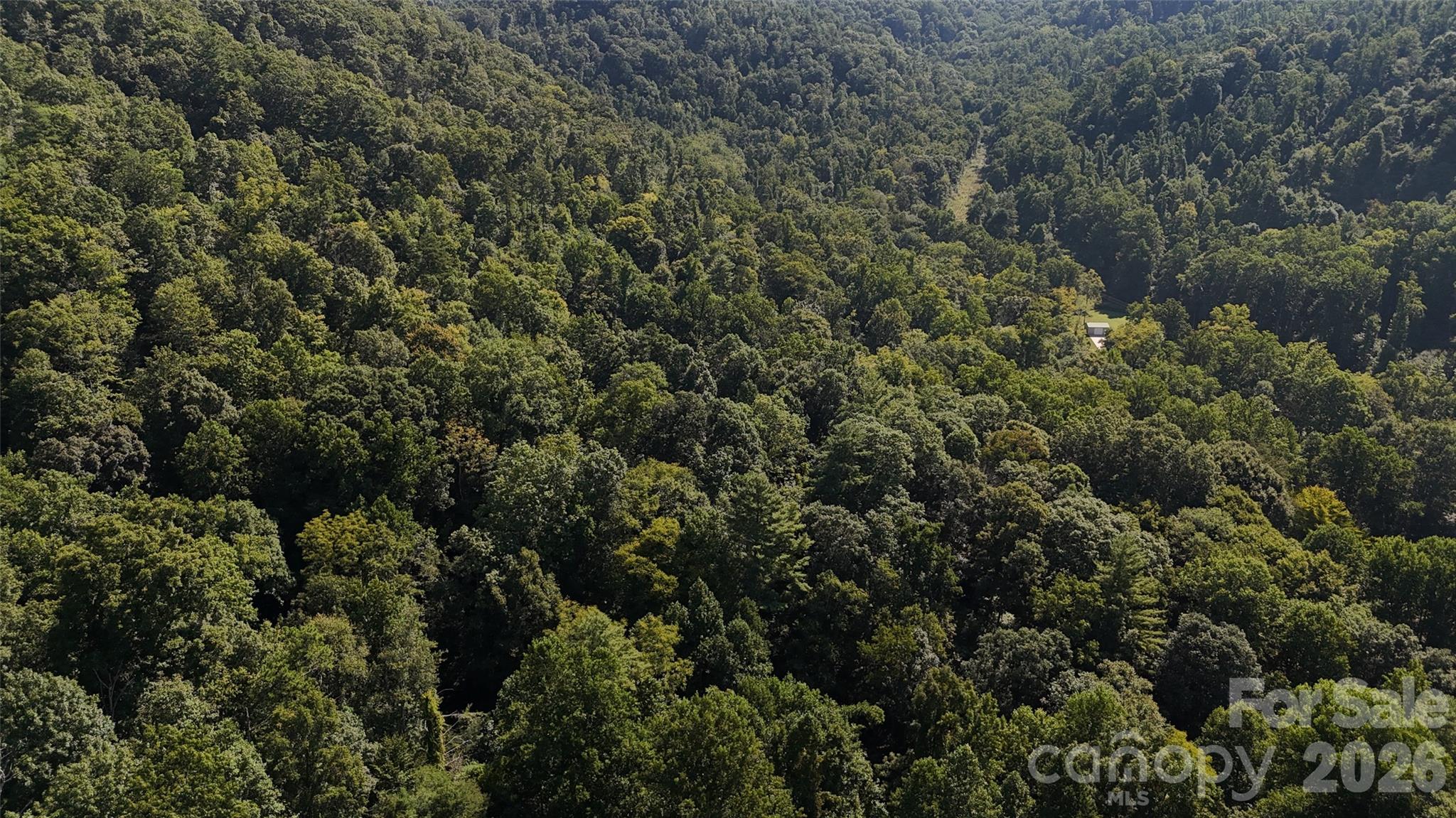 Acreage at 101 ± Acres Timbersong Drive, Weaverville, photo 28 of 39