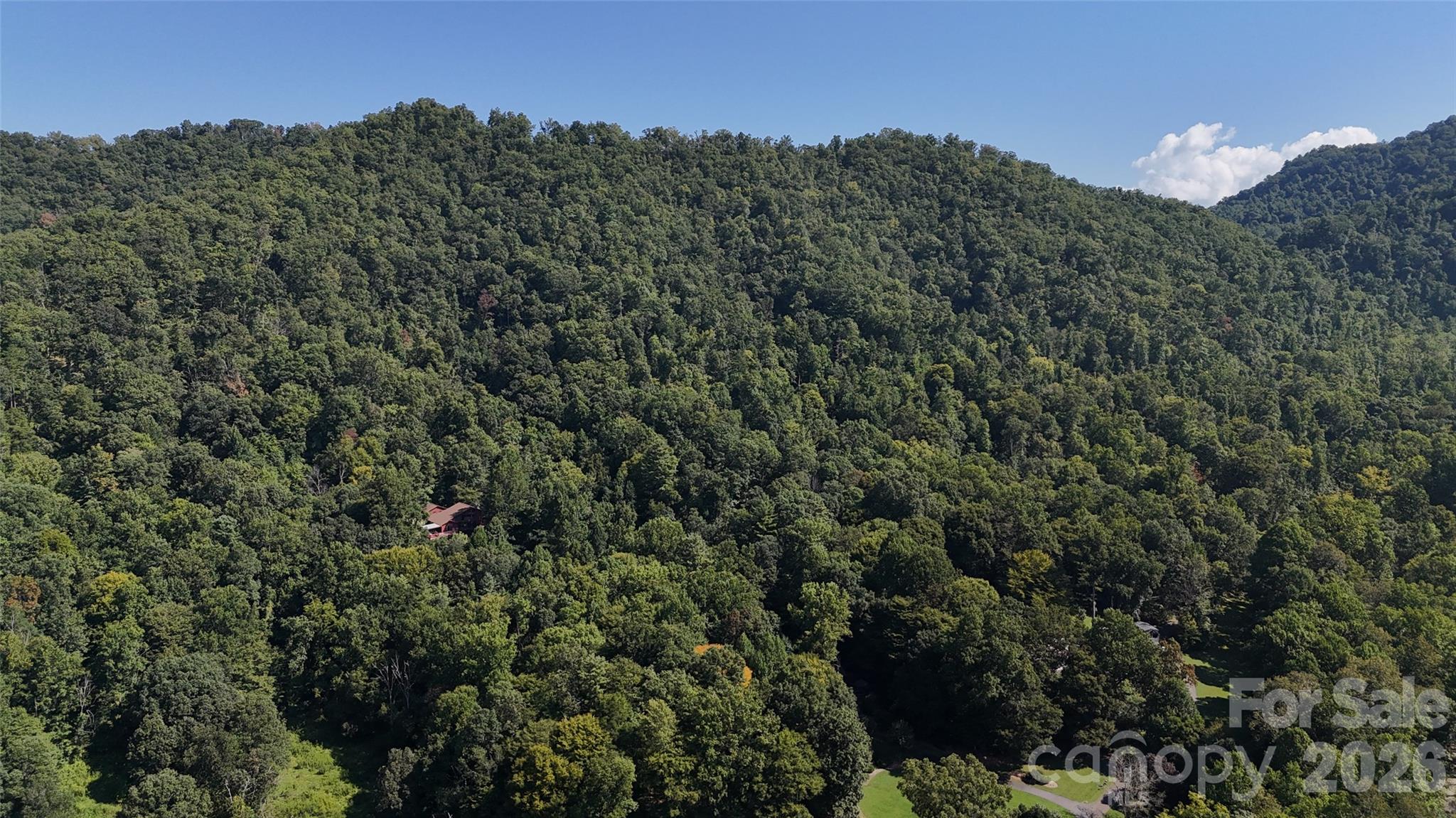 Acreage at 101 ± Acres Timbersong Drive, Weaverville, photo 37 of 39
