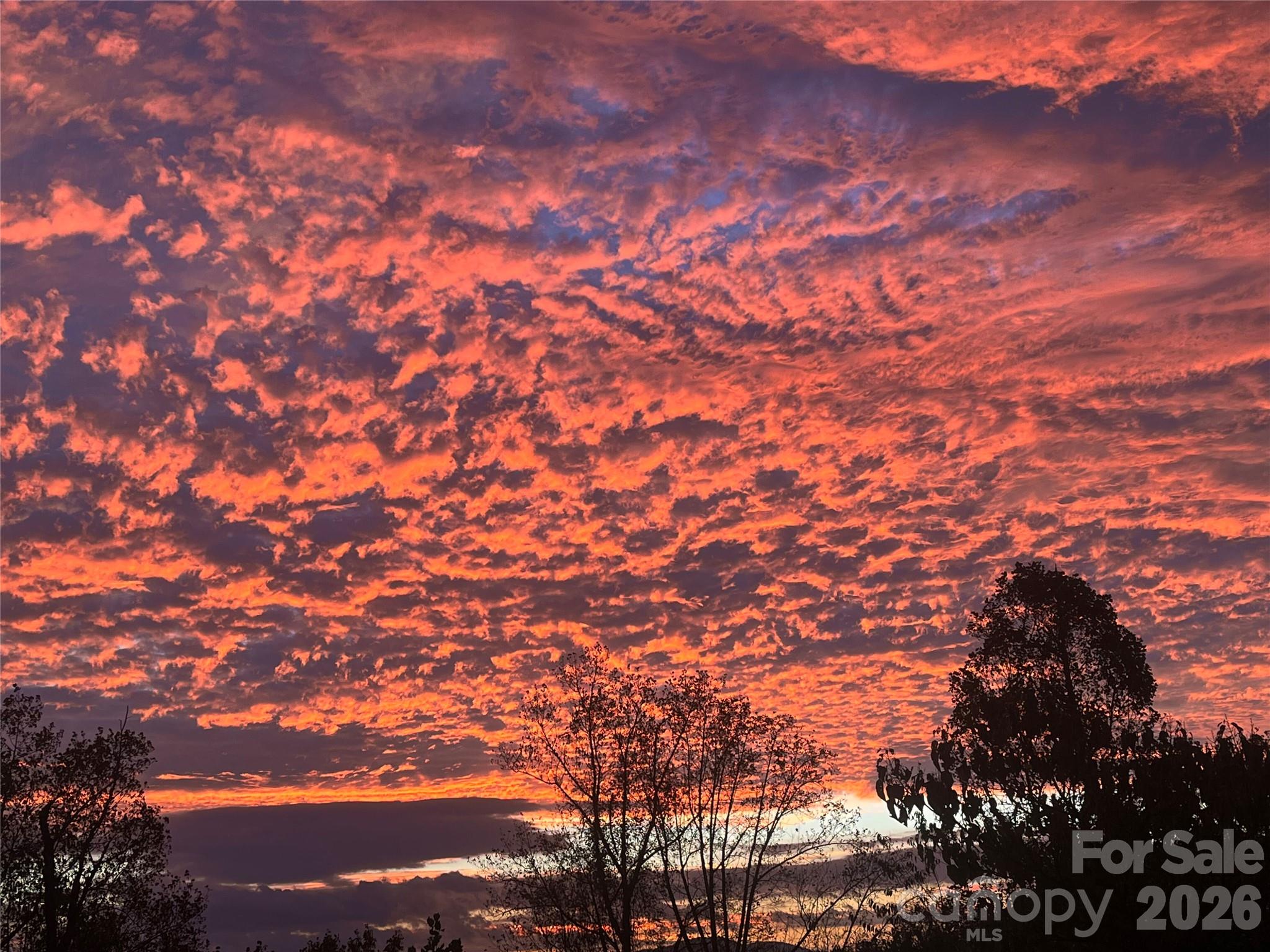 Sunset from back deck! - 189 Waightstill Drive, Arden