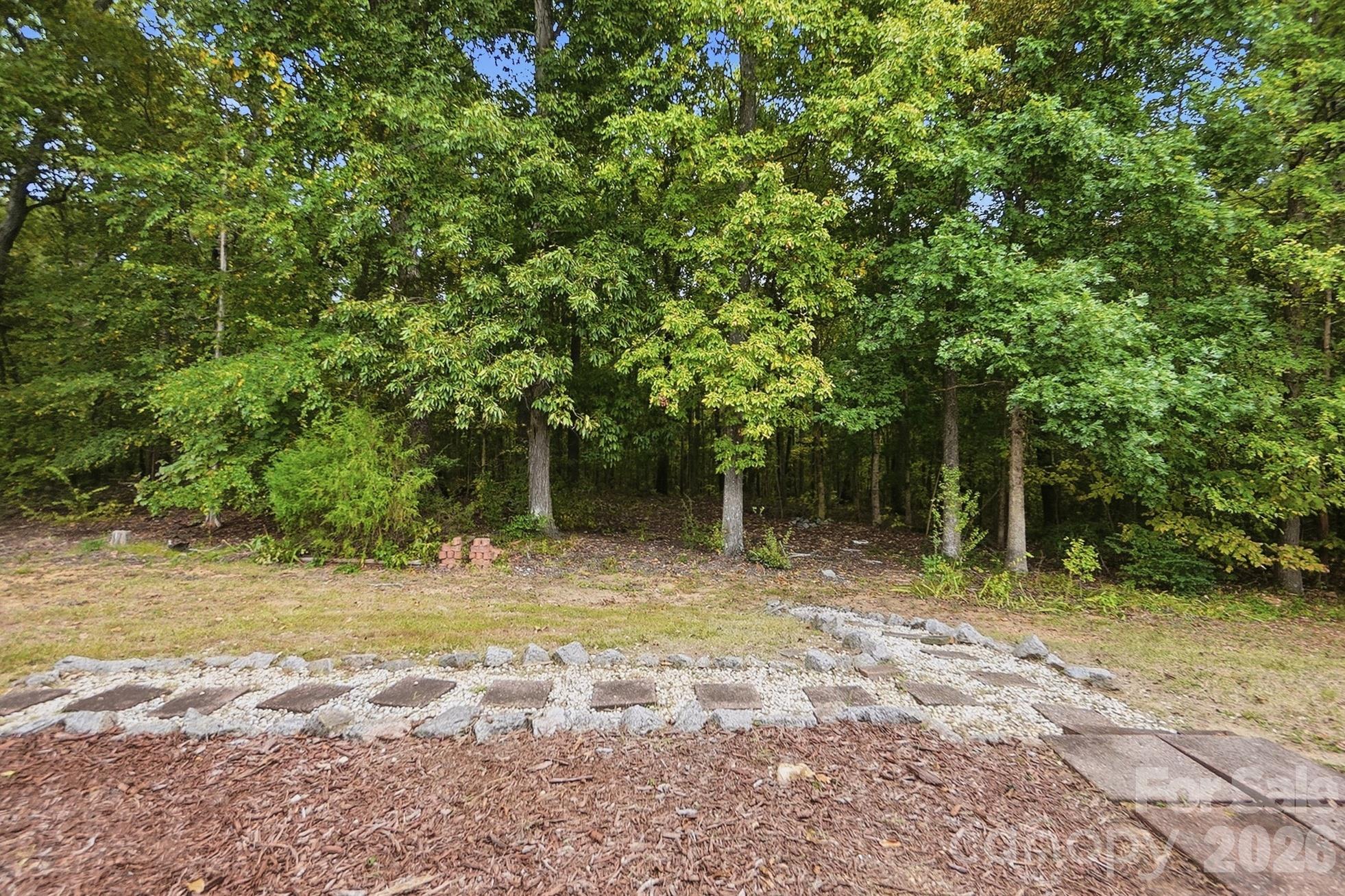 Backyard - 236 Forest Pond Road, Kannapolis