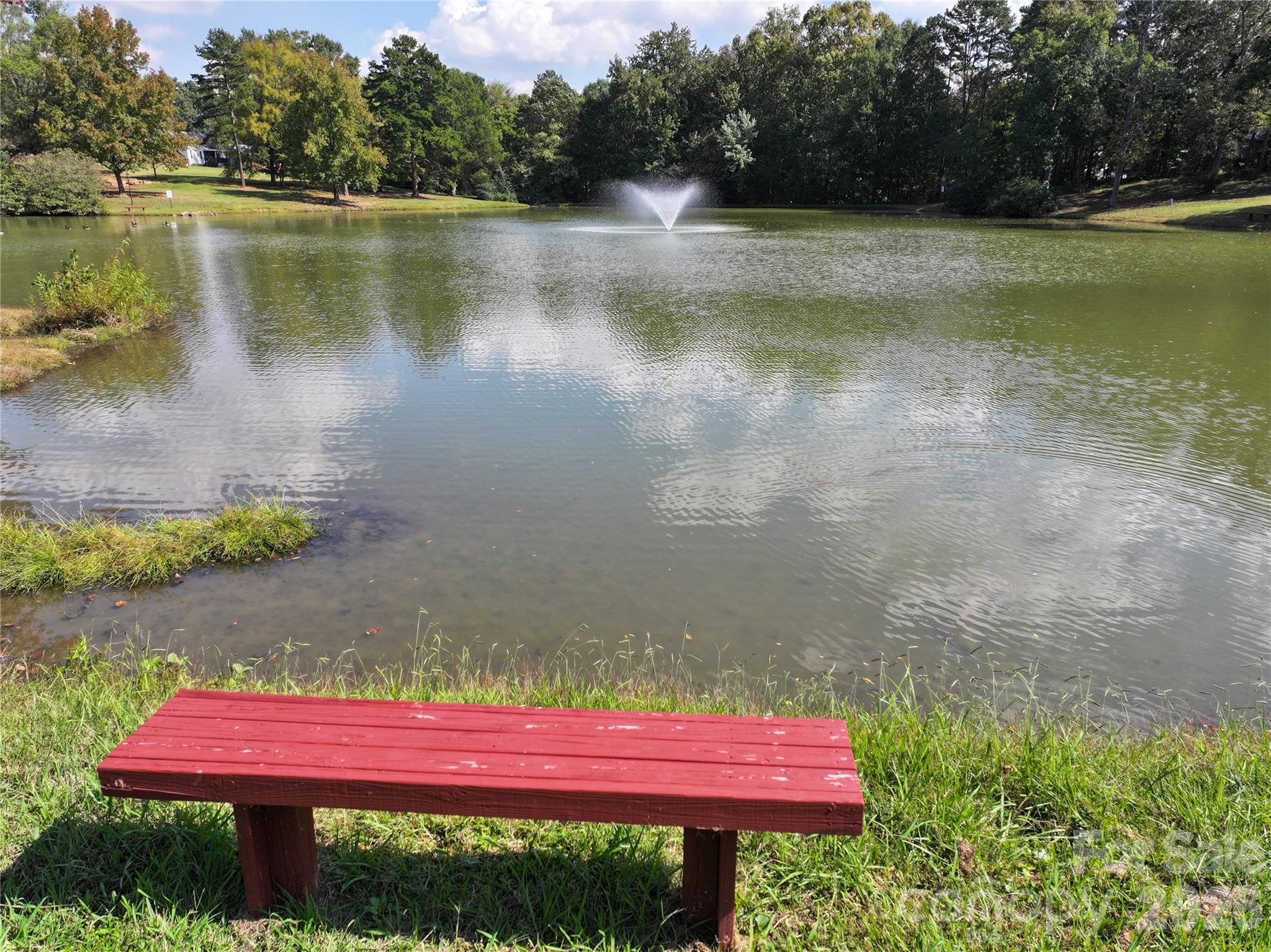 Beaver Pond - 236 Forest Pond Road, Kannapolis