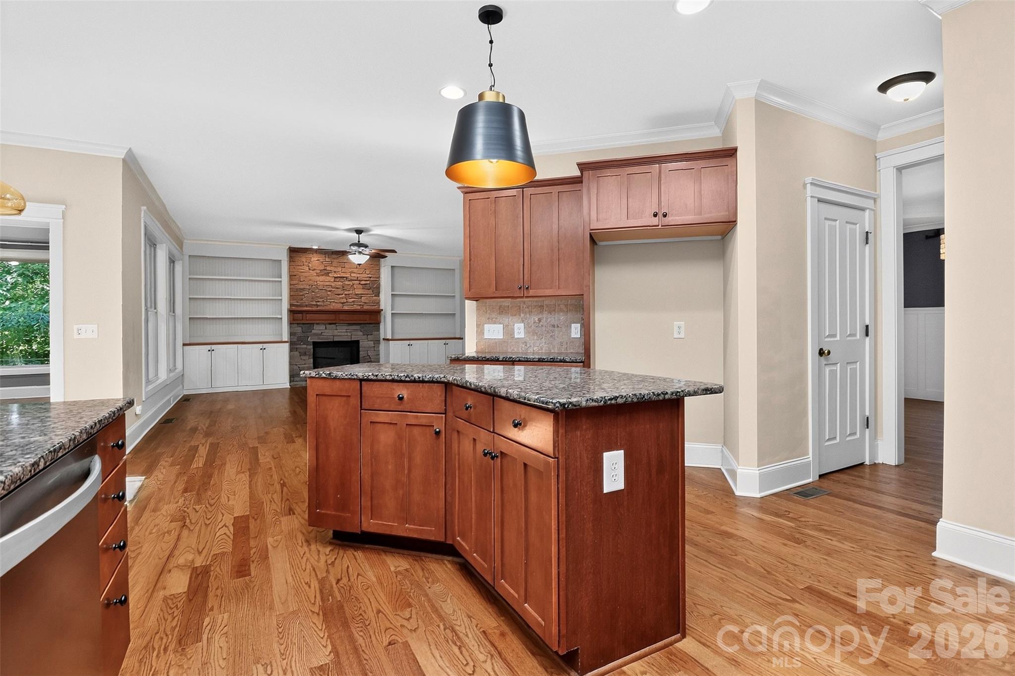 Single Family Residence at 5141 Berkeley Park Court, Charlotte, photo 12 of 48