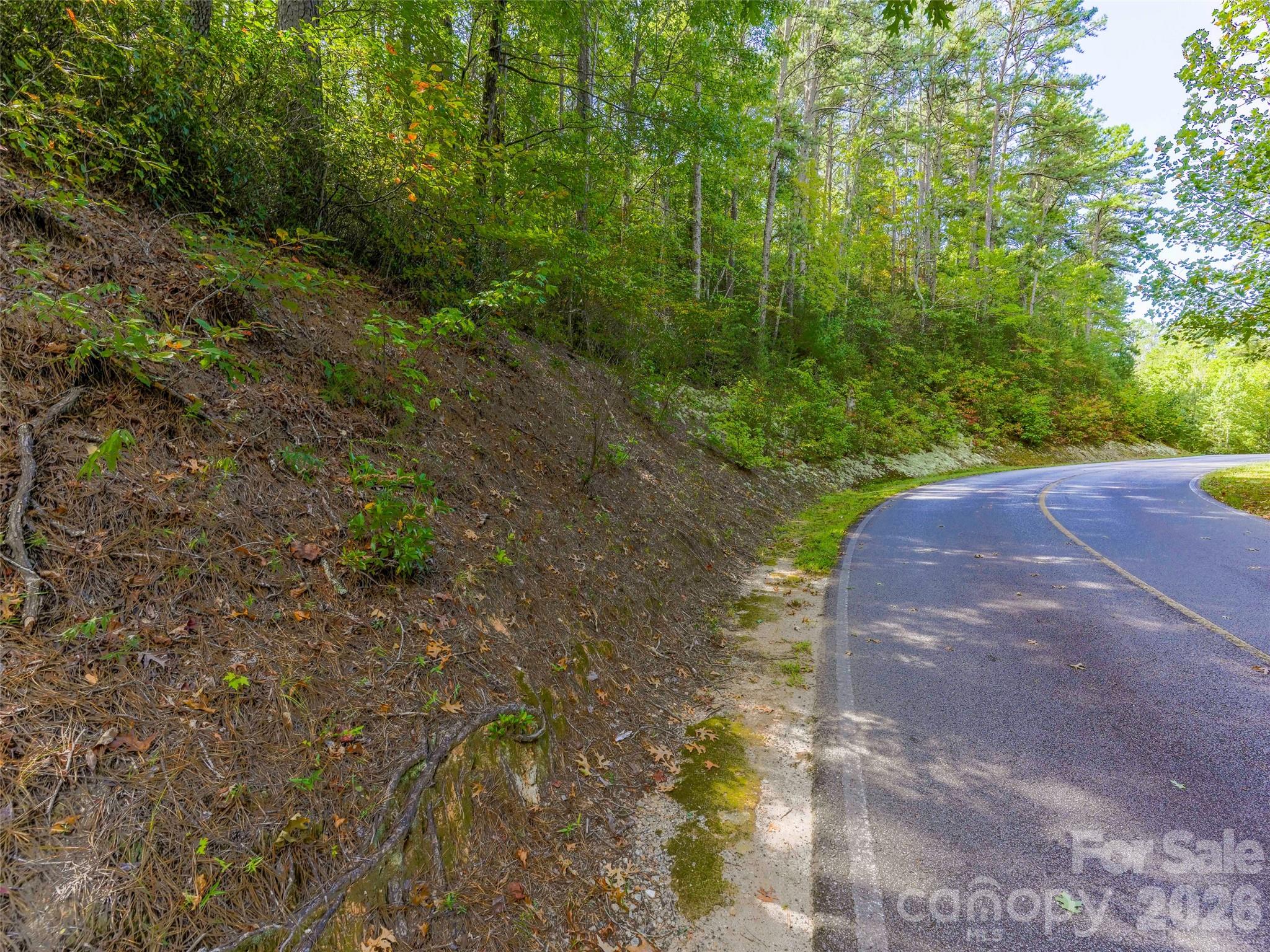 Lot at 00 Glen Hollow Road, Travelers Rest, photo 4 of 16