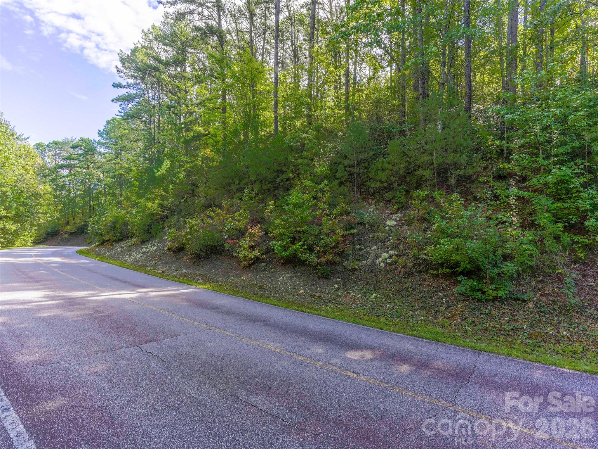 Lot at 00 Glen Hollow Road, Travelers Rest, photo 5 of 16