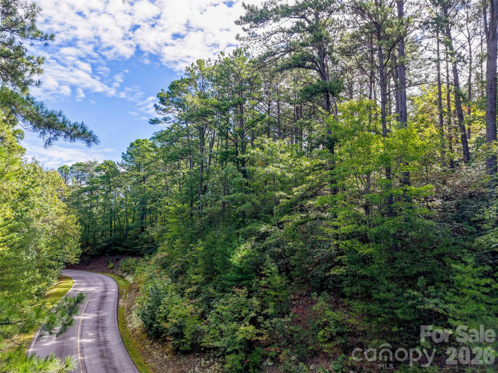 Lot at 00 Glen Hollow Road, Travelers Rest, photo 7 of 16