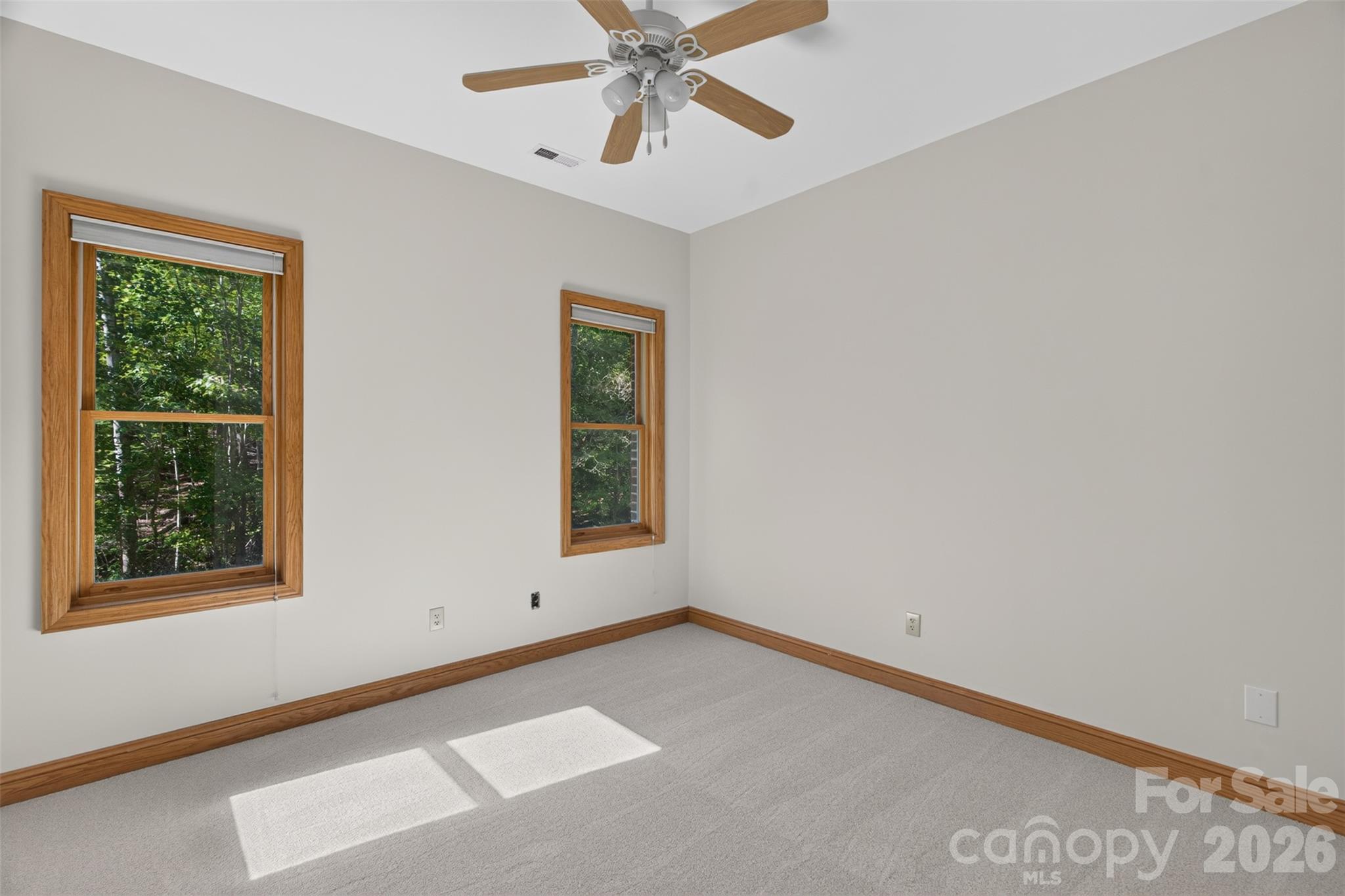 kids bedroom 2 on main level - unfurnished - new carpets - 253 Highway 161 South, Clover
