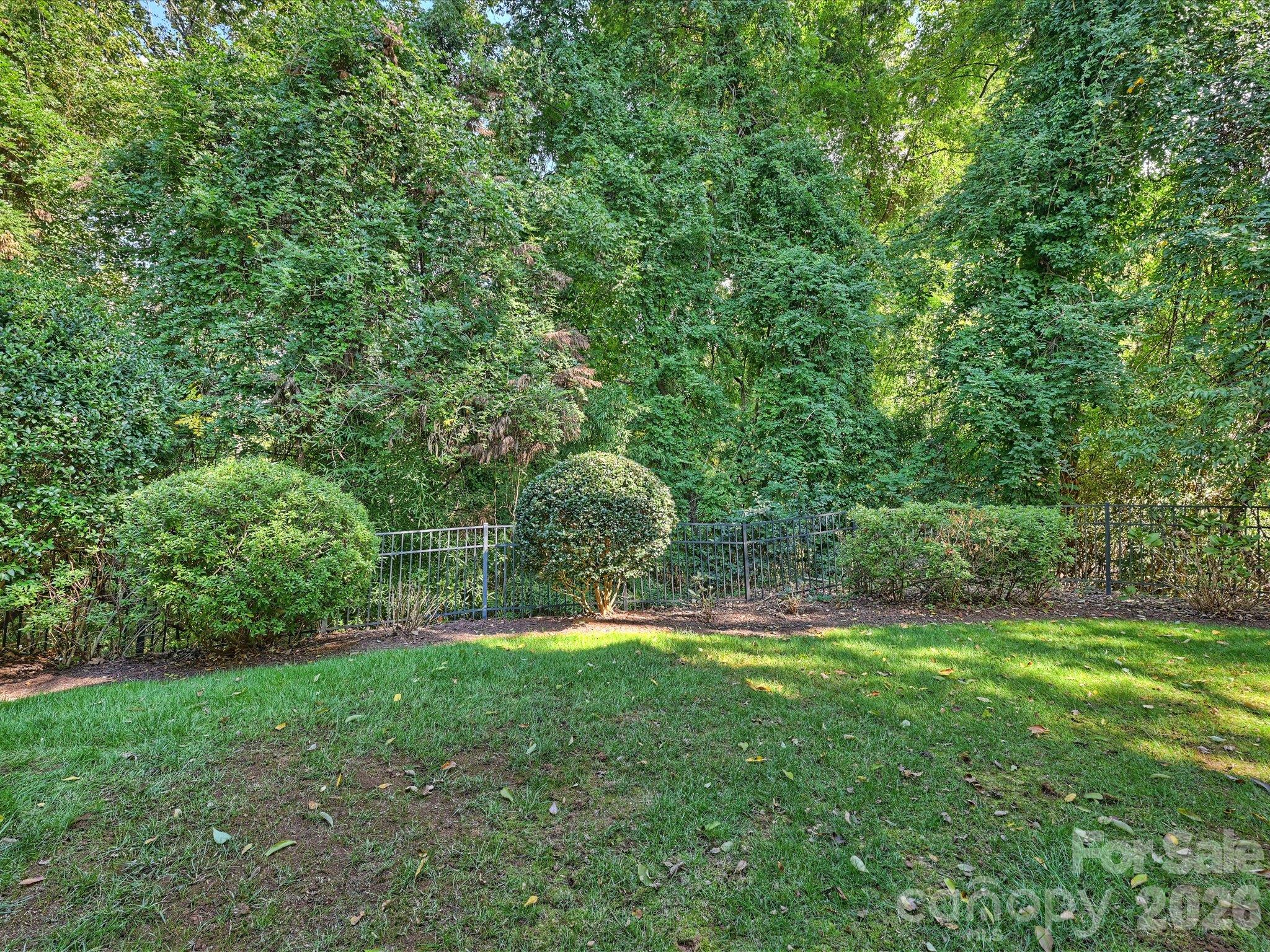 Rear Yard - 5919 Creola Road, Charlotte