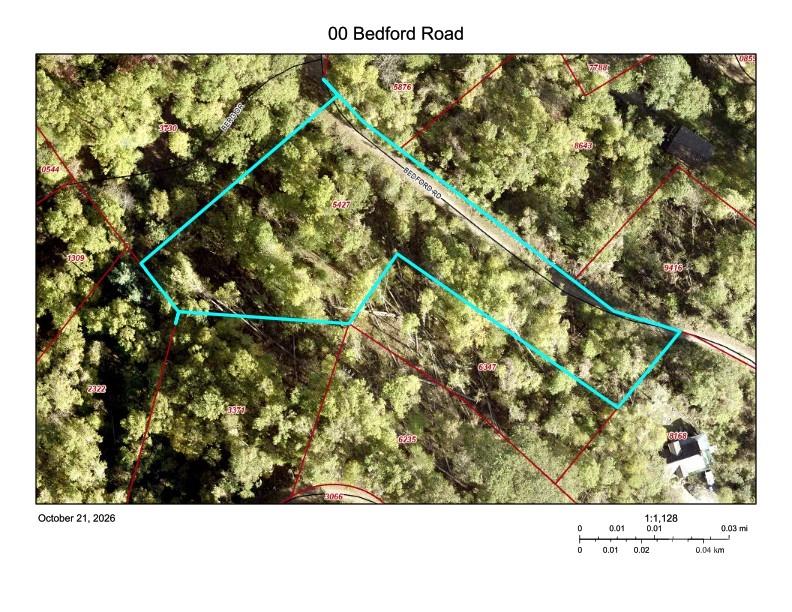 GIS Aerial - 00 Bedford Road, Barnardsville