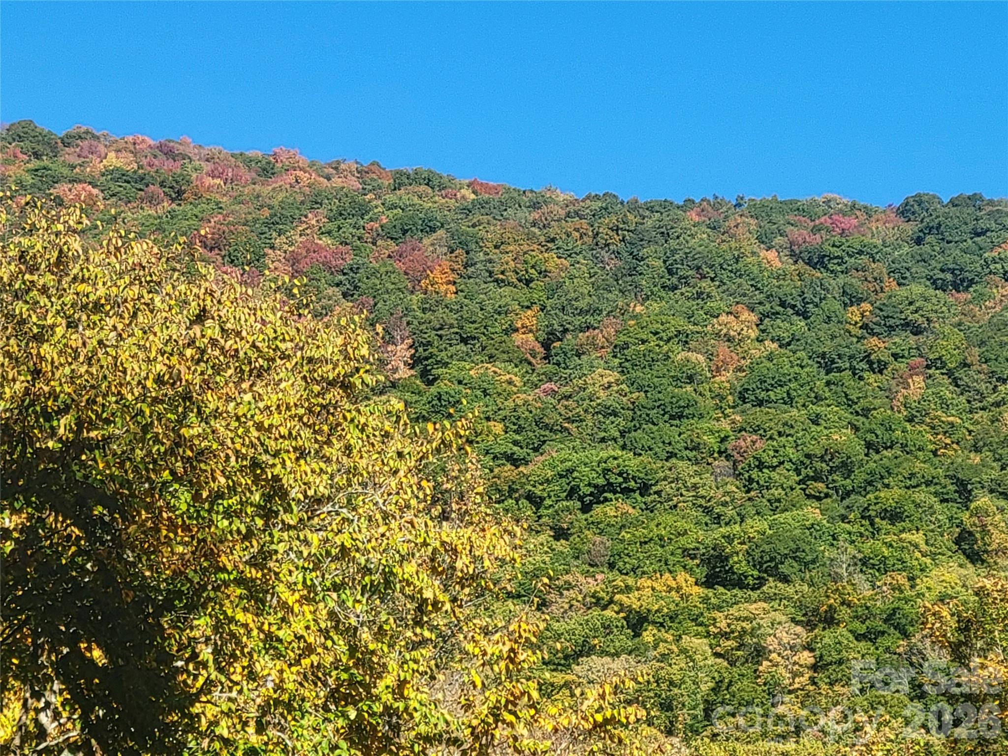 Single Family Residence at 1061 Caldwell Drive, Maggie Valley, photo 43 of 47