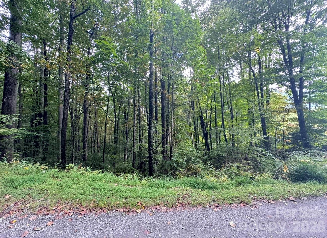 Lot at 13 Fern Trail, Waynesville, photo 2 of 3