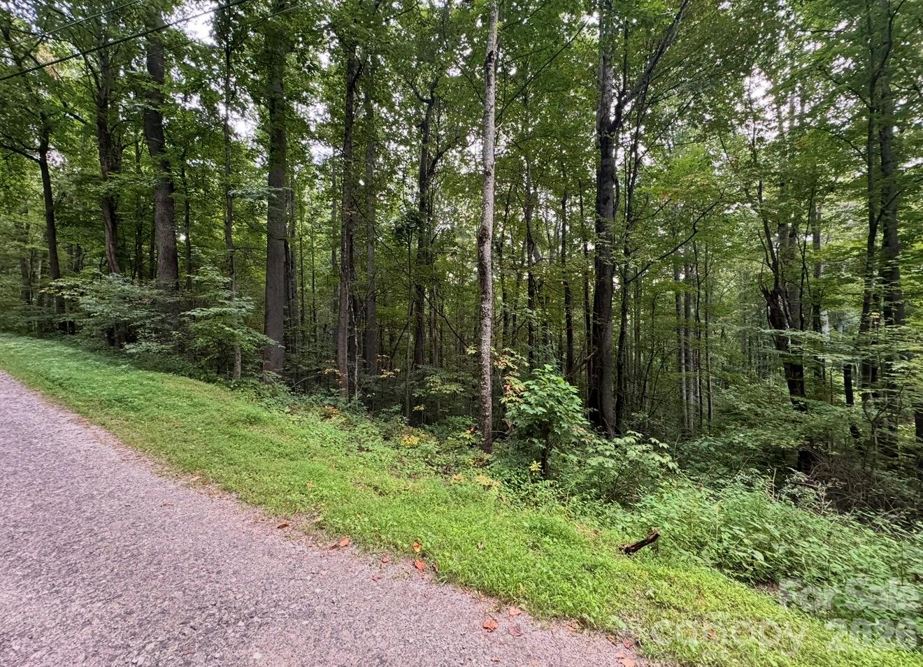 Lot at 13 Fern Trail, Waynesville, photo 3 of 3