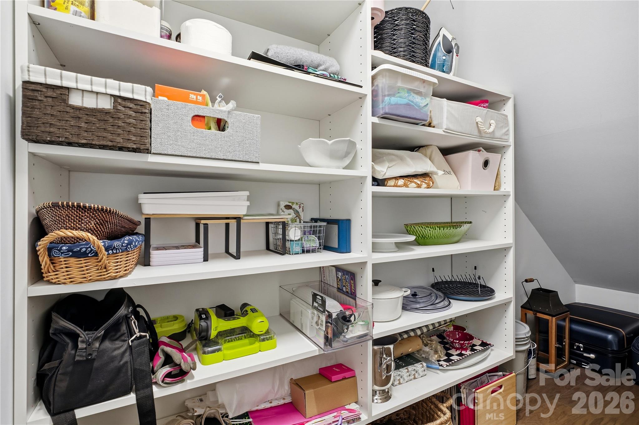 Storage/pantry with new closet systems - 16918 Summers Walk Boulevard, Davidson