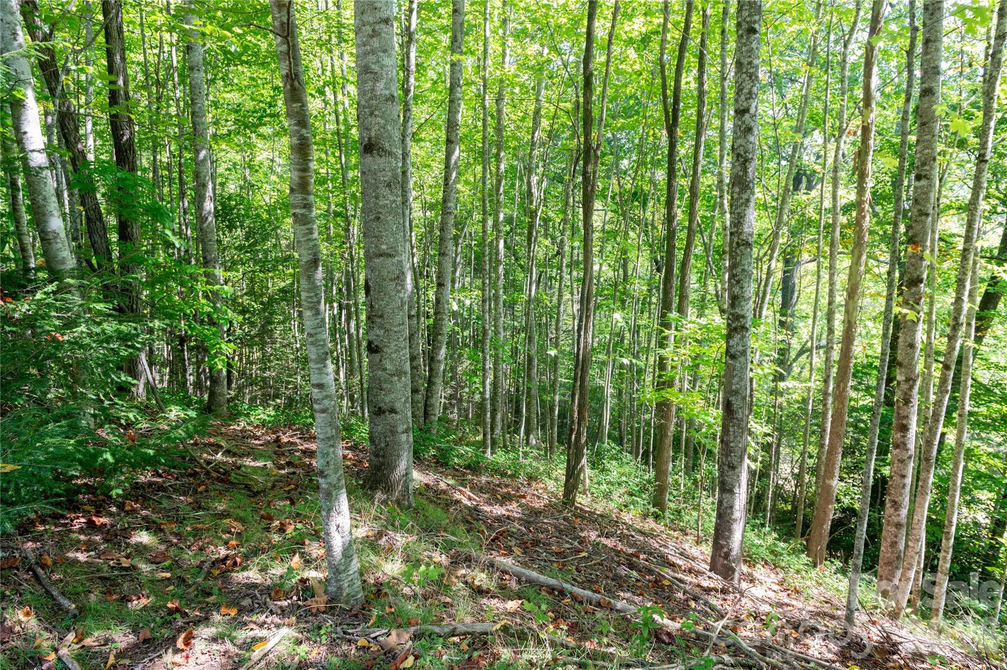 Lot at 000 Sanctuary Drive, Burnsville, photo 4 of 21