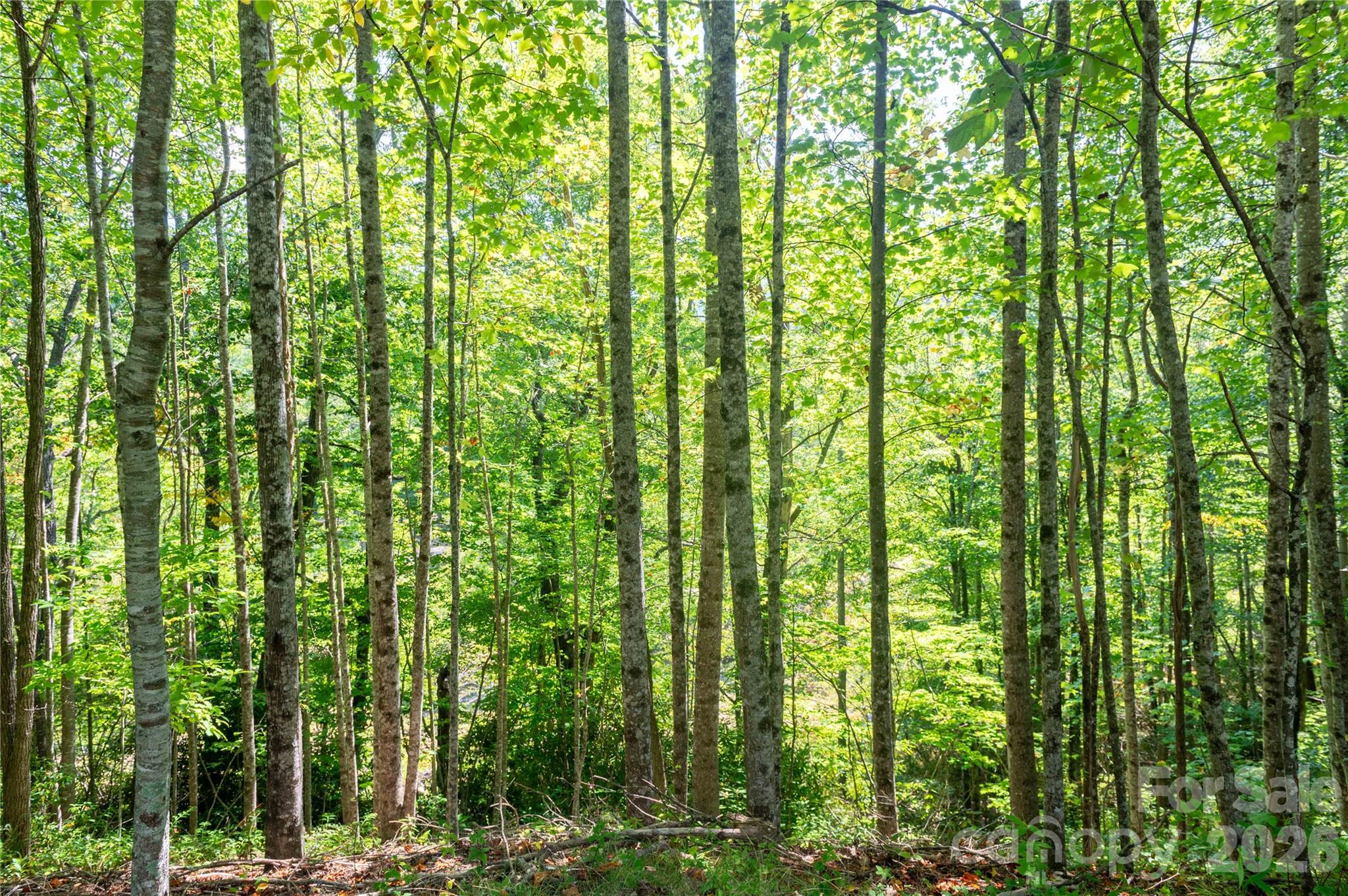 Lot at 000 Sanctuary Drive, Burnsville, photo 5 of 21