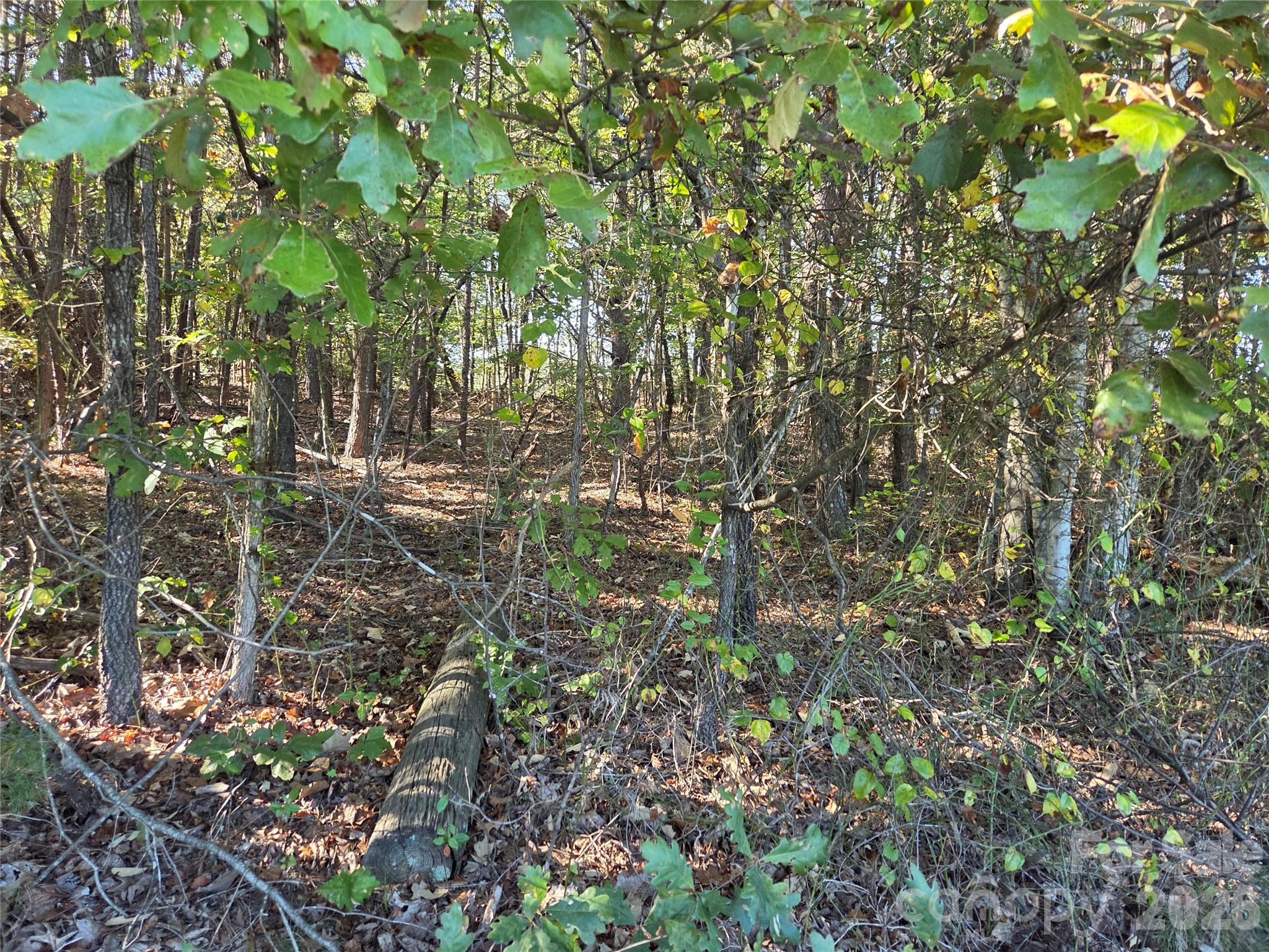 Acreage at 0 Crystal Lane, Connelly Springs, photo 4 of 9