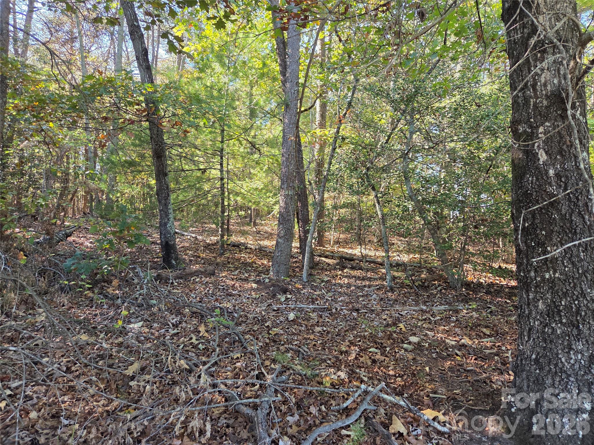 Acreage at 0 Crystal Lane, Connelly Springs, photo 5 of 9