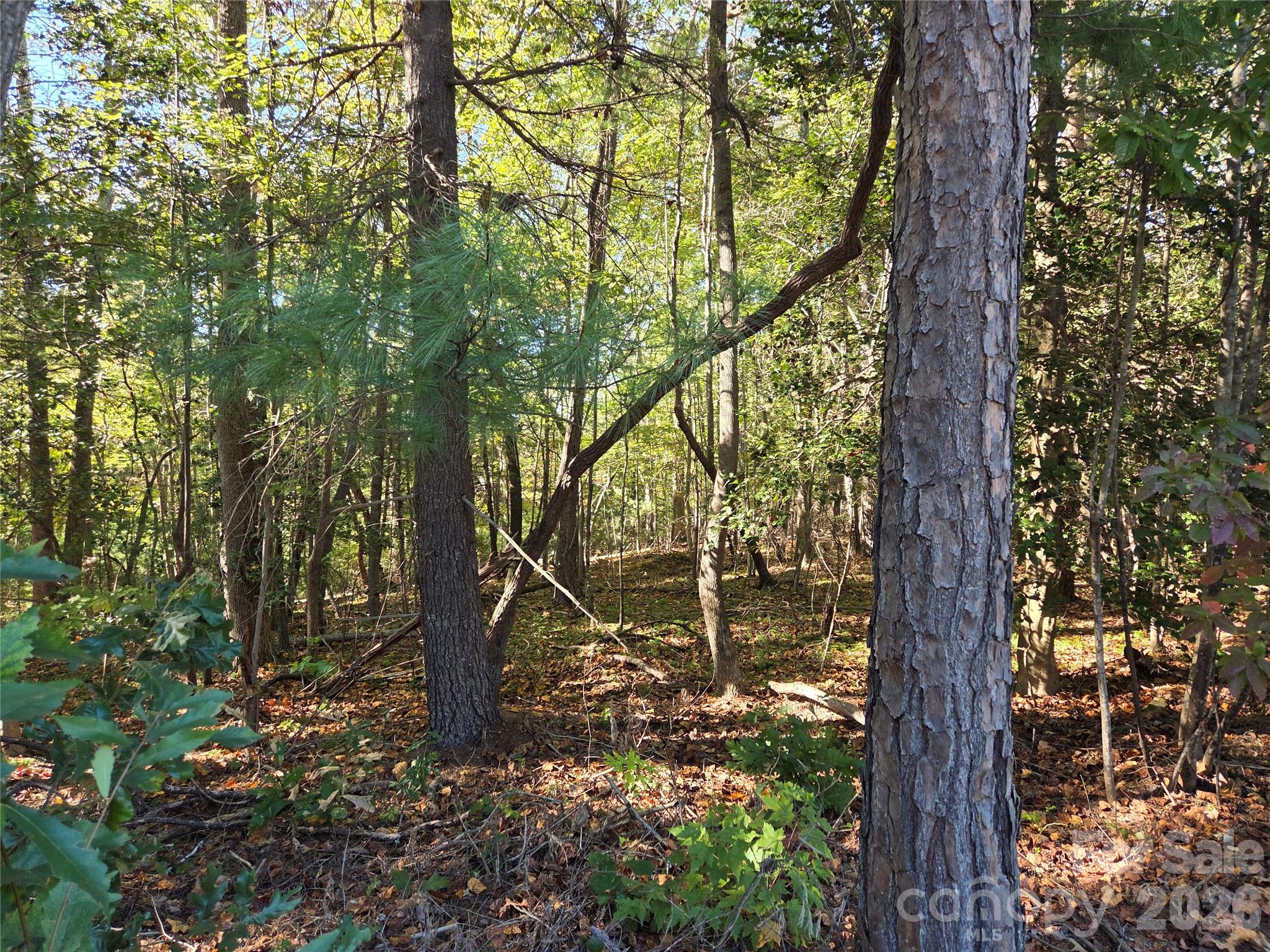 Acreage at 0 Crystal Lane, Connelly Springs, photo 6 of 9