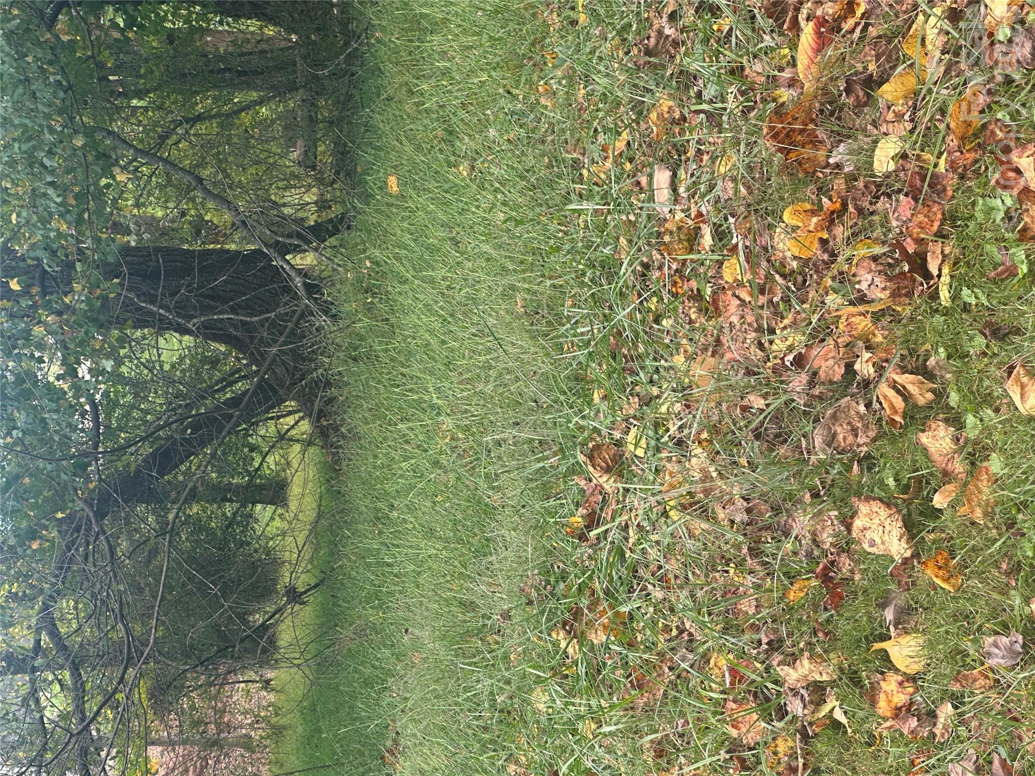 Lot 121 Friar Court