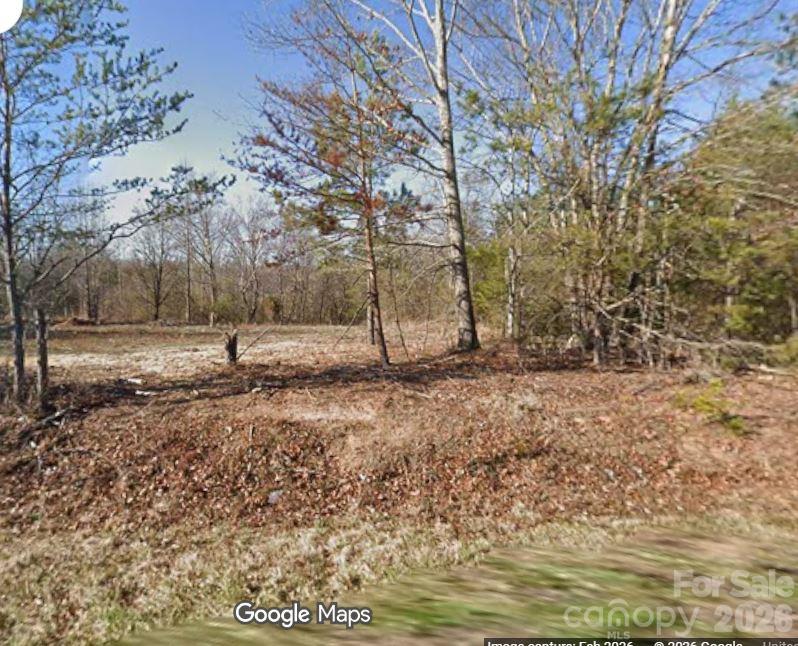 Lot at 877 Biggerstaff Loop, Nebo, photo 2 of 16