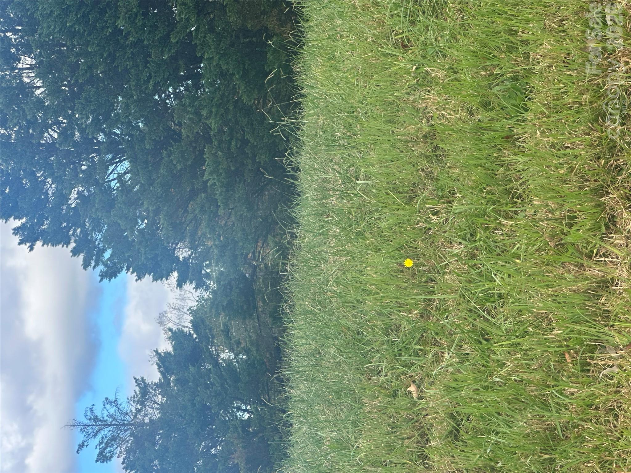Lot 107 Parson Lane