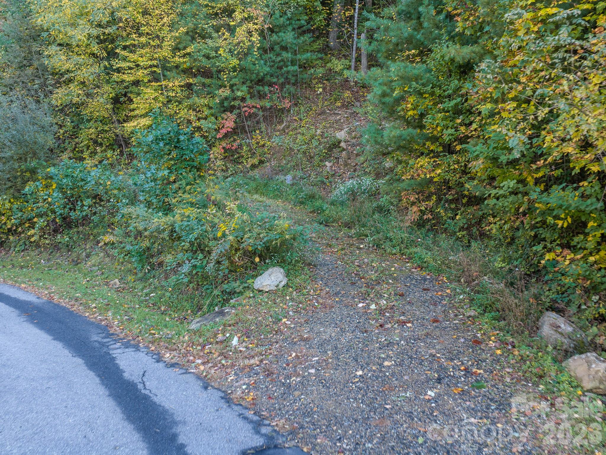 Lot at 55 Bartrams Walk Drive, Asheville, photo 7 of 33