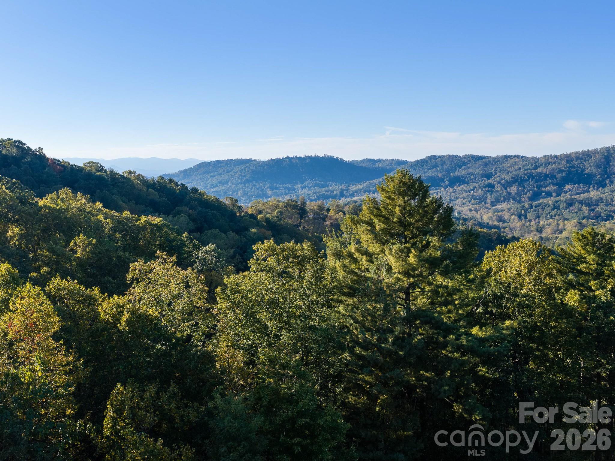 Lot at 55 Bartrams Walk Drive, Asheville, photo 12 of 33
