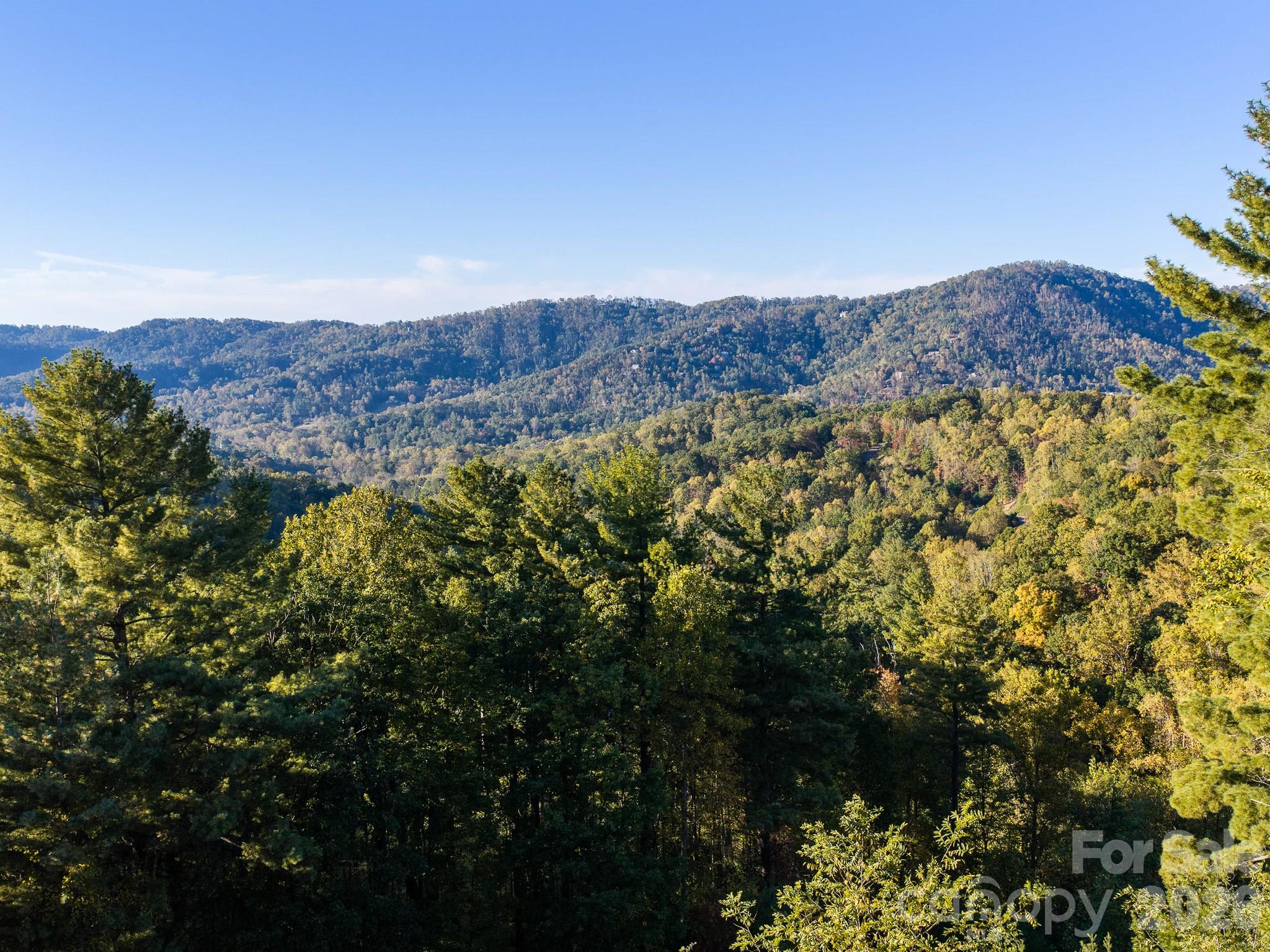 Lot at 55 Bartrams Walk Drive, Asheville, photo 13 of 33