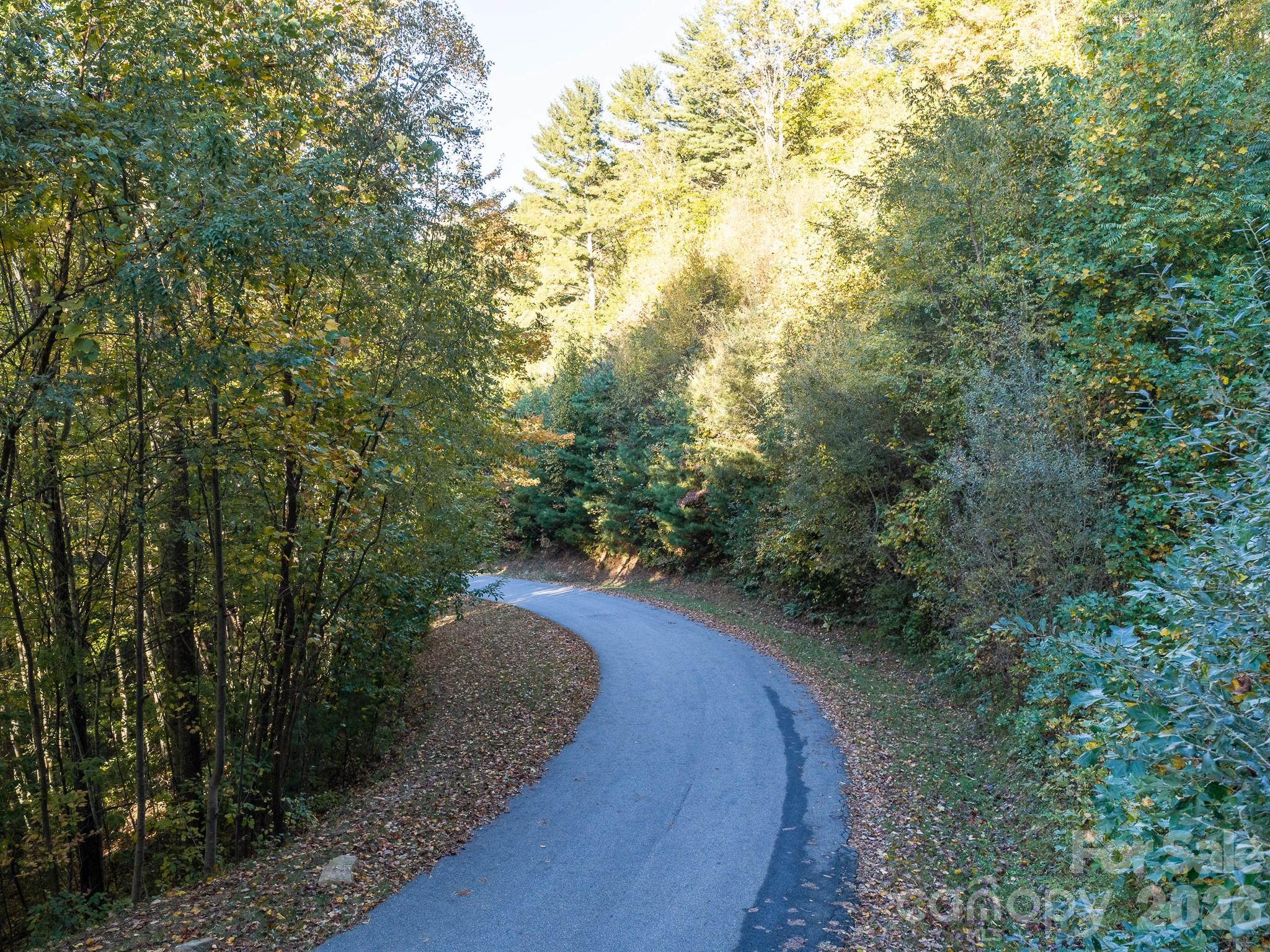 Lot at 55 Bartrams Walk Drive, Asheville, photo 15 of 33