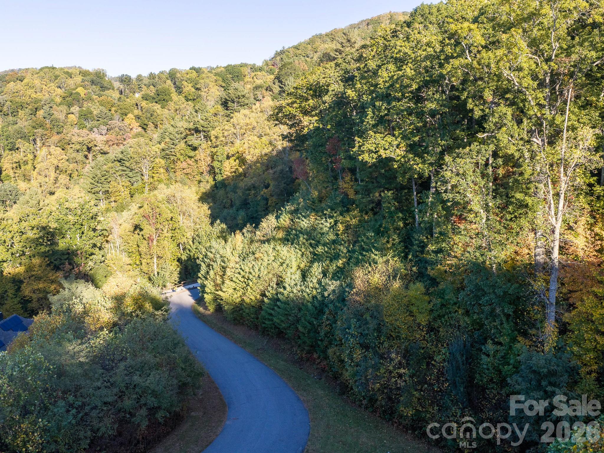 Lot at 55 Bartrams Walk Drive, Asheville, photo 18 of 33