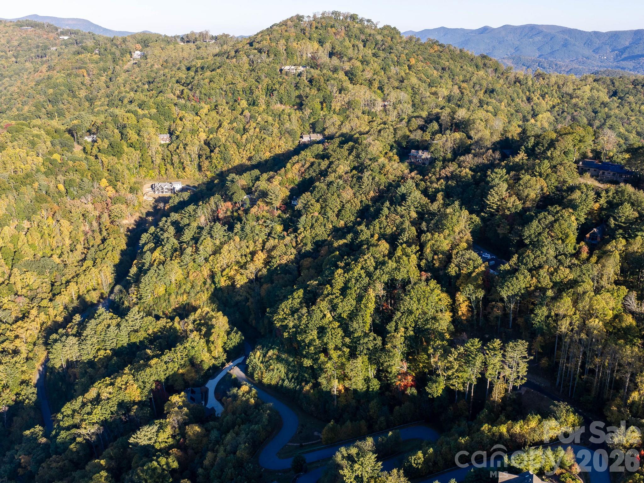 Lot at 55 Bartrams Walk Drive, Asheville, photo 19 of 33