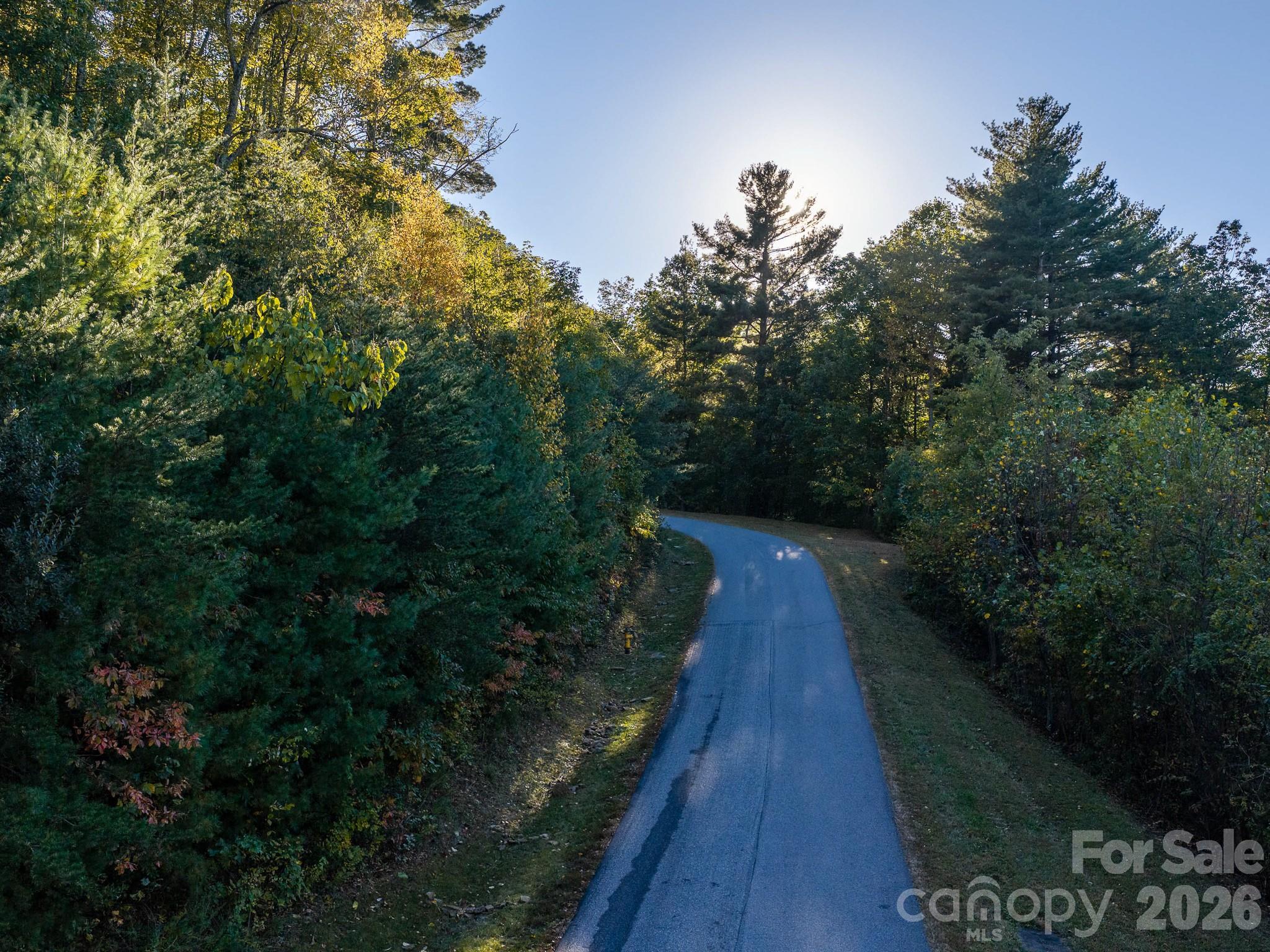 Lot at 55 Bartrams Walk Drive, Asheville, photo 23 of 33