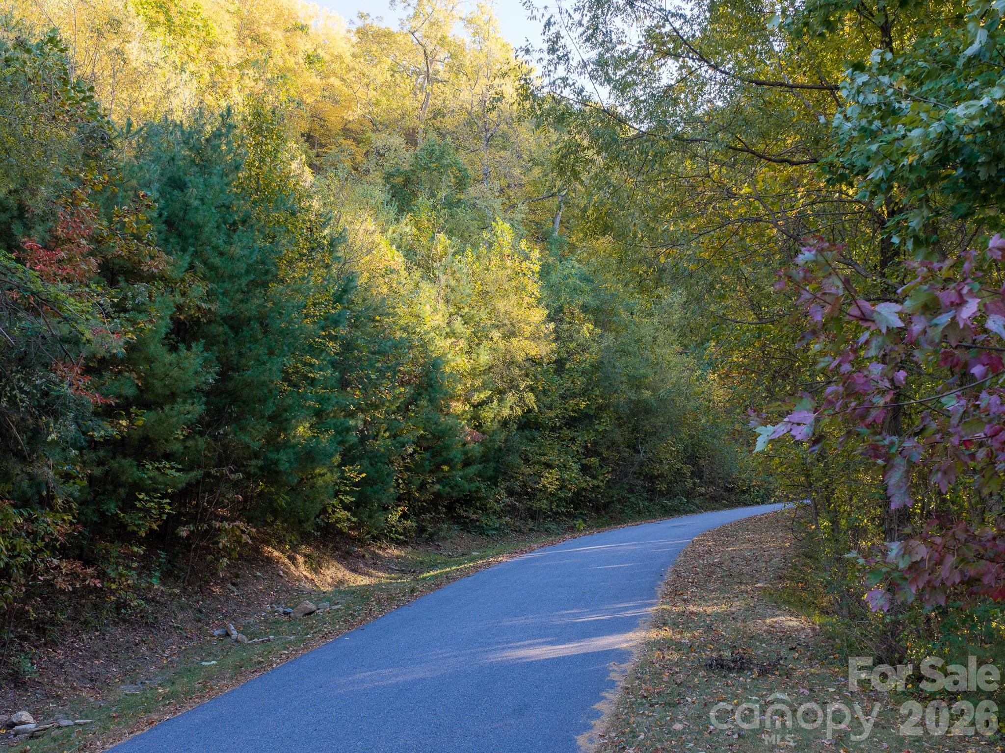 Lot at 55 Bartrams Walk Drive, Asheville, photo 25 of 33
