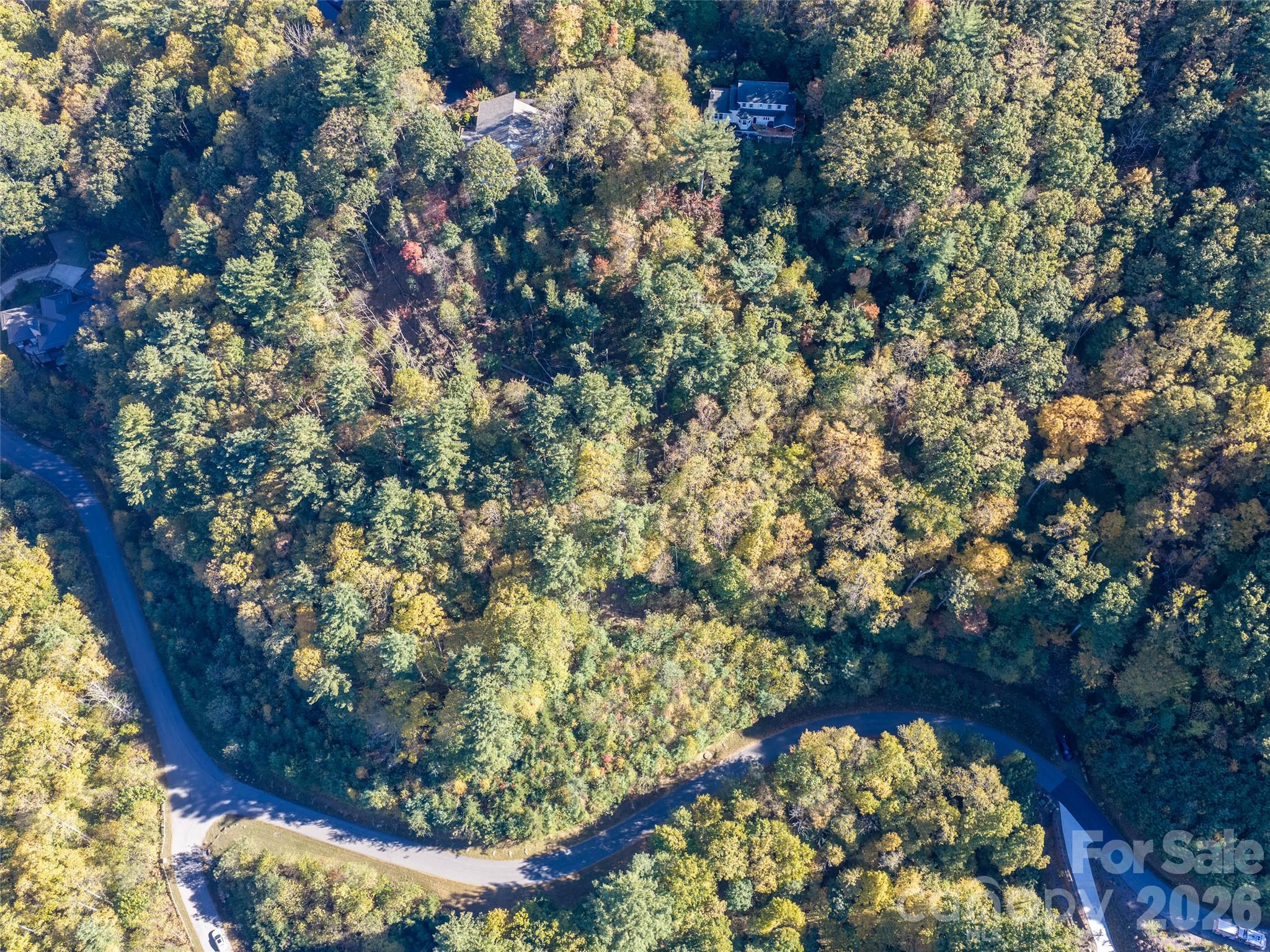 Lot at 55 Bartrams Walk Drive, Asheville, photo 26 of 33