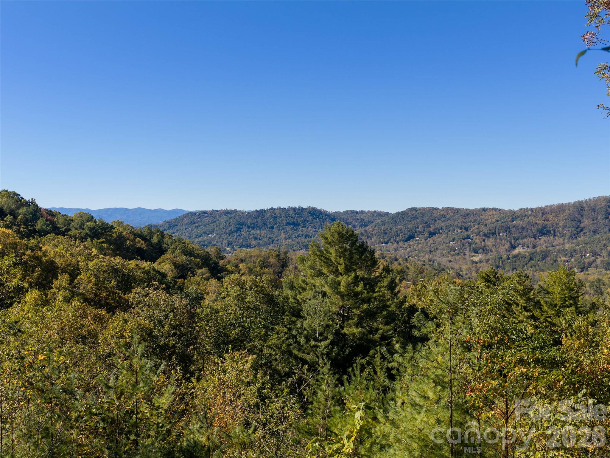 Lot at 55 Bartrams Walk Drive, Asheville, photo 29 of 33