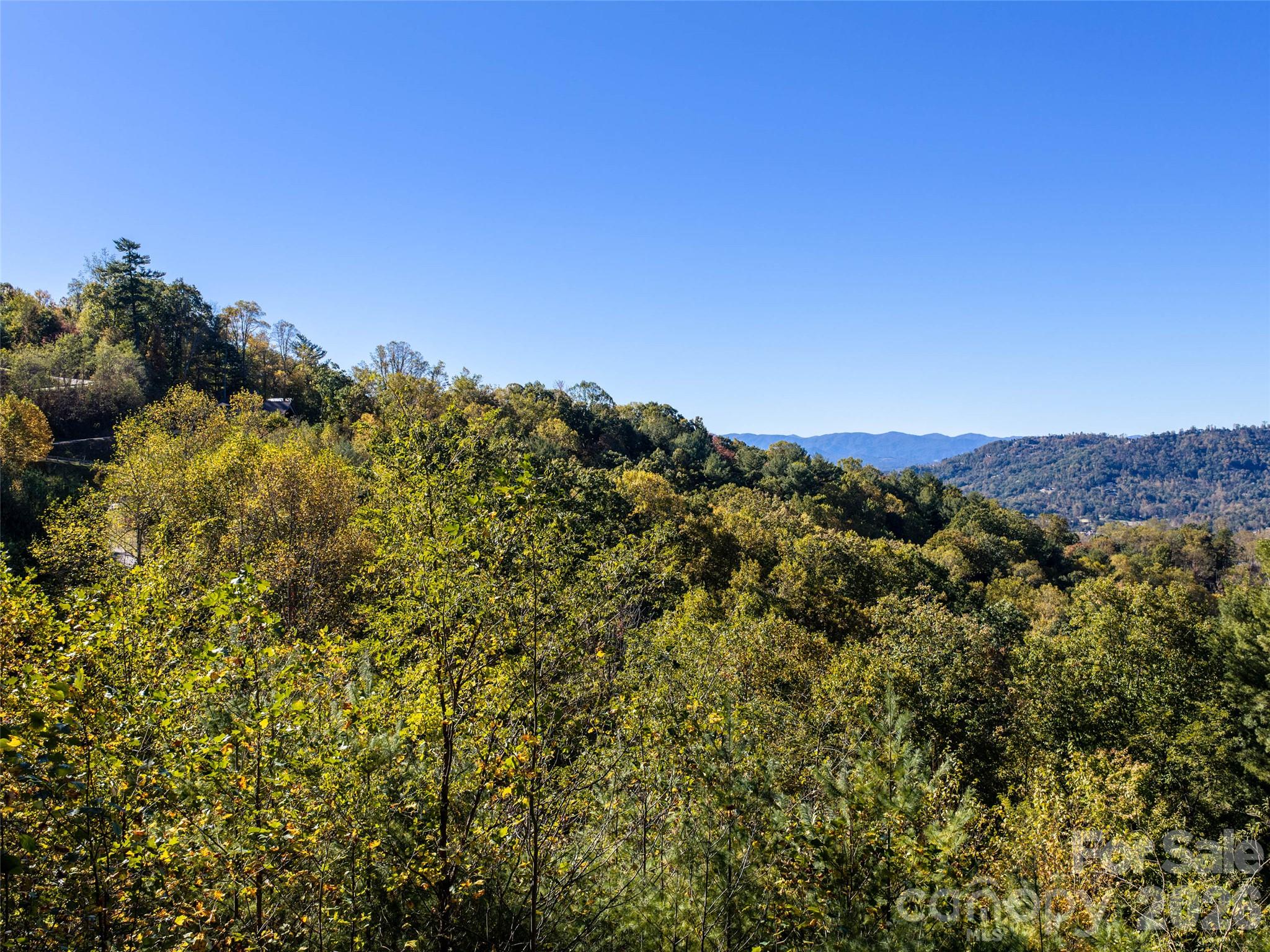 Lot at 55 Bartrams Walk Drive, Asheville, photo 30 of 33