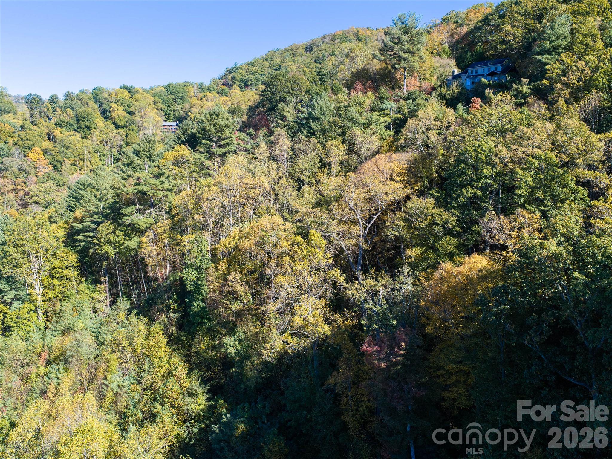 Lot at 55 Bartrams Walk Drive, Asheville, photo 33 of 33